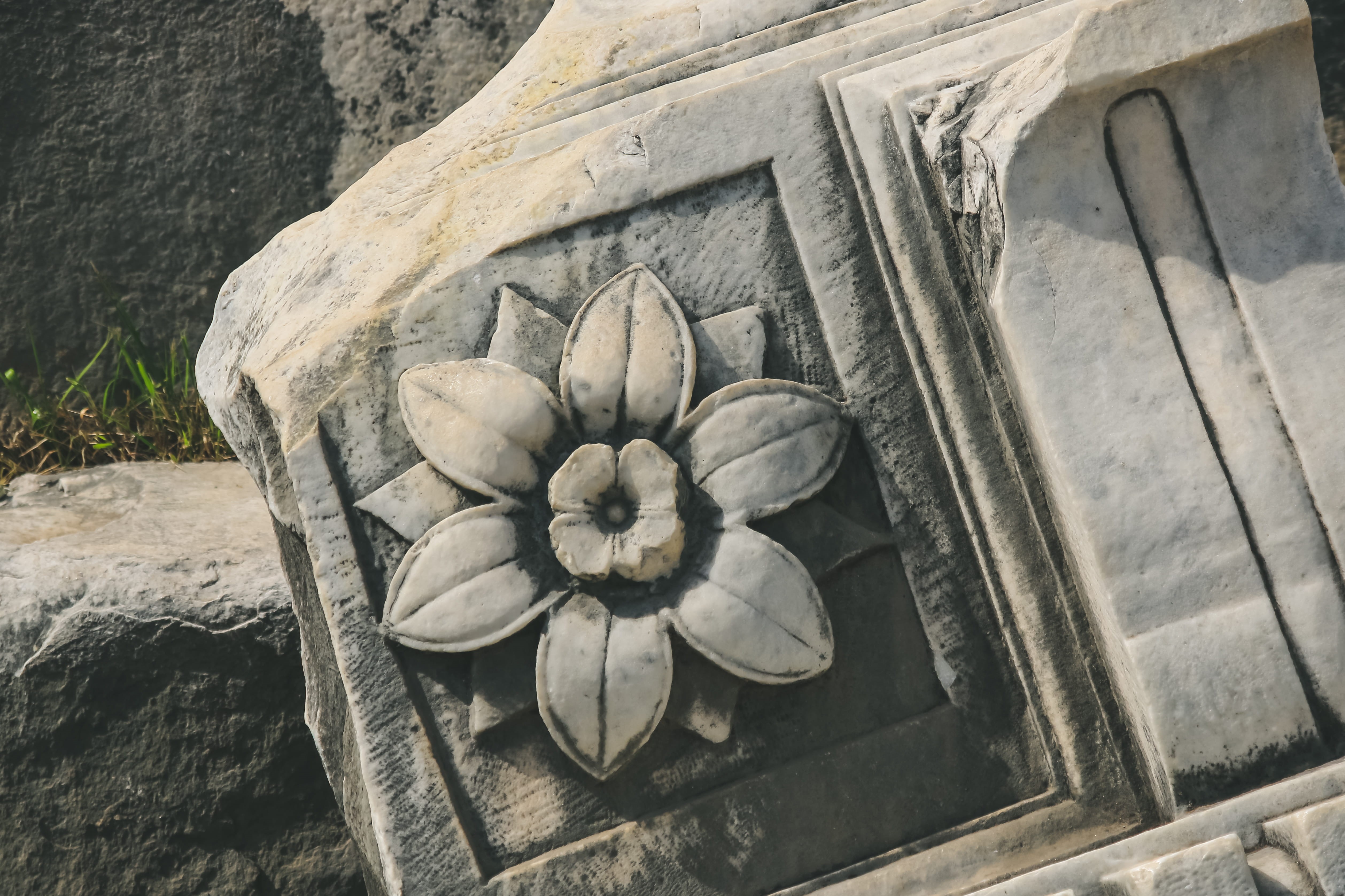 4K, flower, solid, day, wood - material, forum romanum, vegetable, freshness, no people, roma, craft, healthy eating, italy, rome, nature, pattern, plant, HD Wallpaper