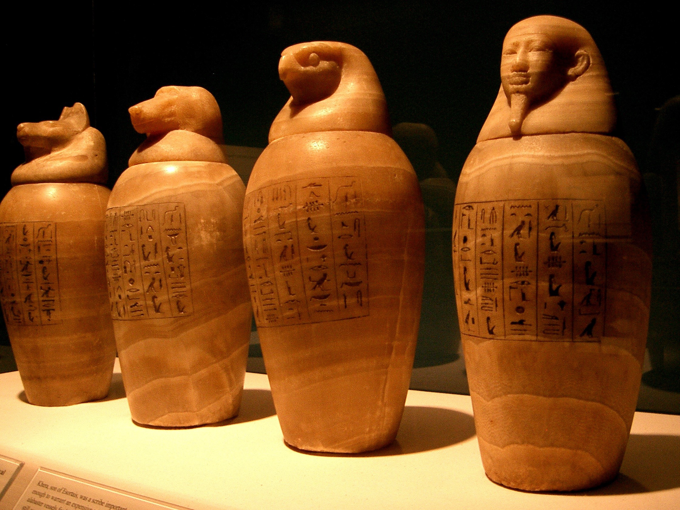 cork - stopper, cultures, text, brown, museum, black background, organs, representation, craft, container, horus, bottle, vases, studio shot, close-up, HD Wallpaper