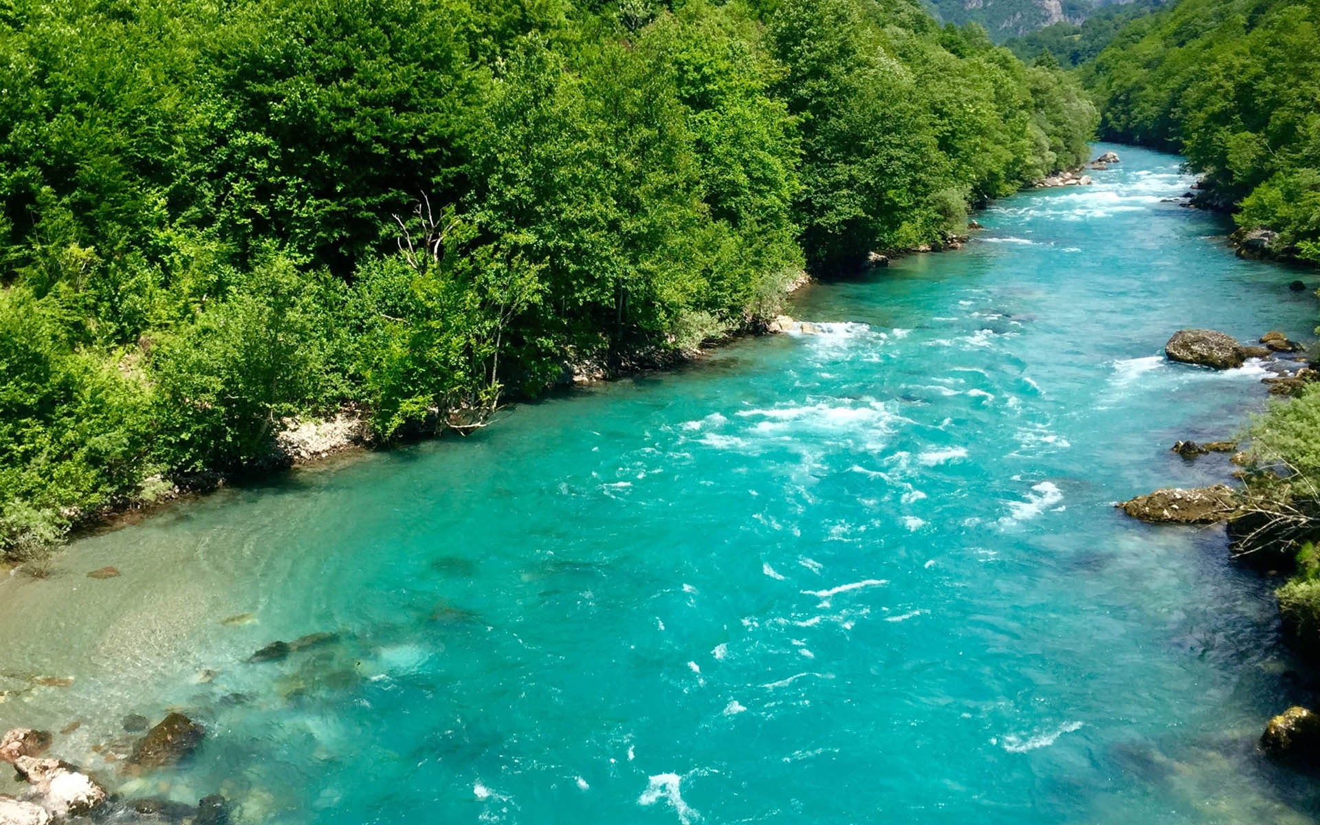 tara, 1080P, montenegro, river, HD Wallpaper