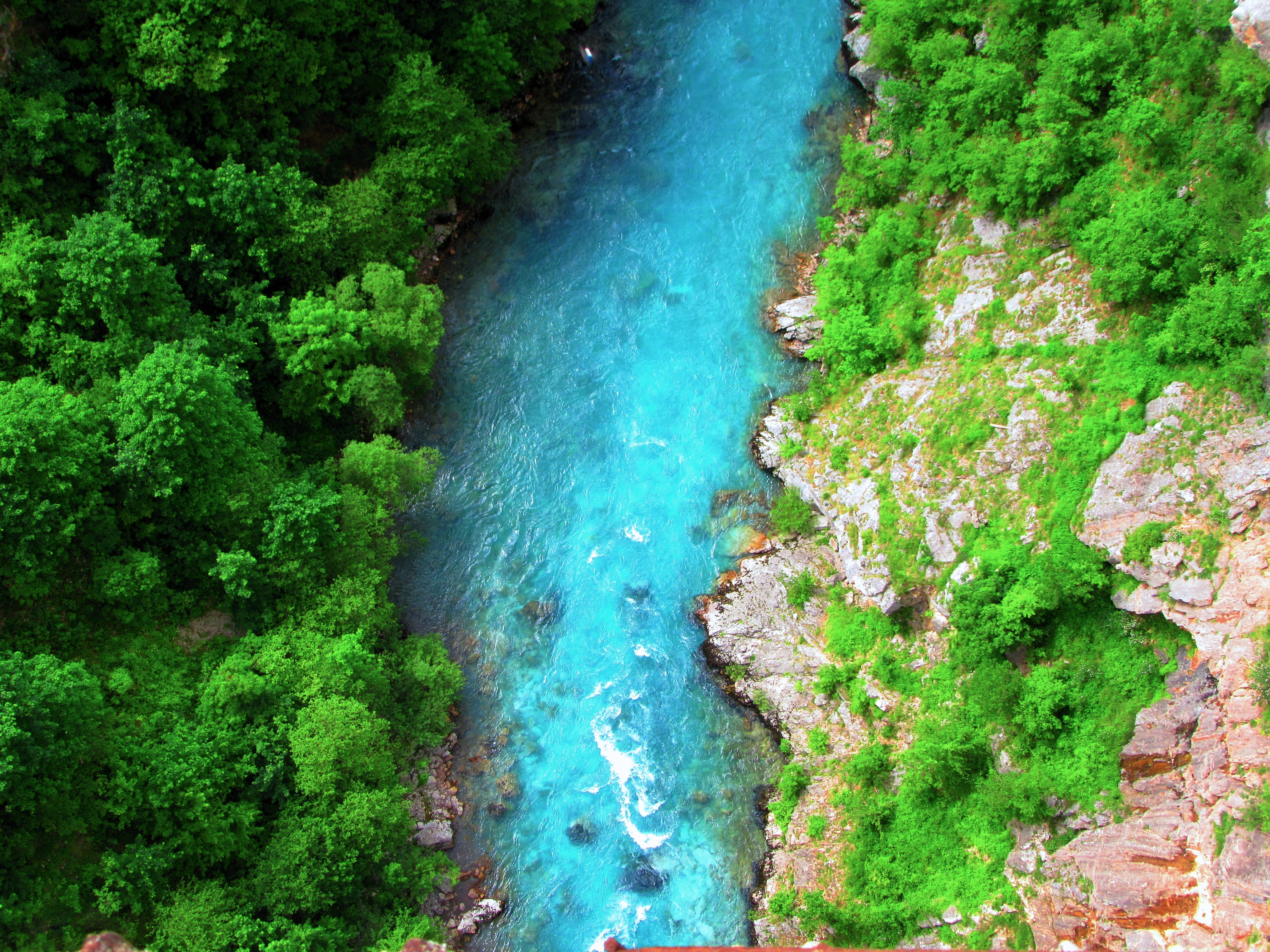 river, montenegro, beauty in nature, water, 5K, turquoise colored, plant, tranquil scene, stream, green color, tree, nature, growth, rock, outdoors, scenics - nature, HD Wallpaper
