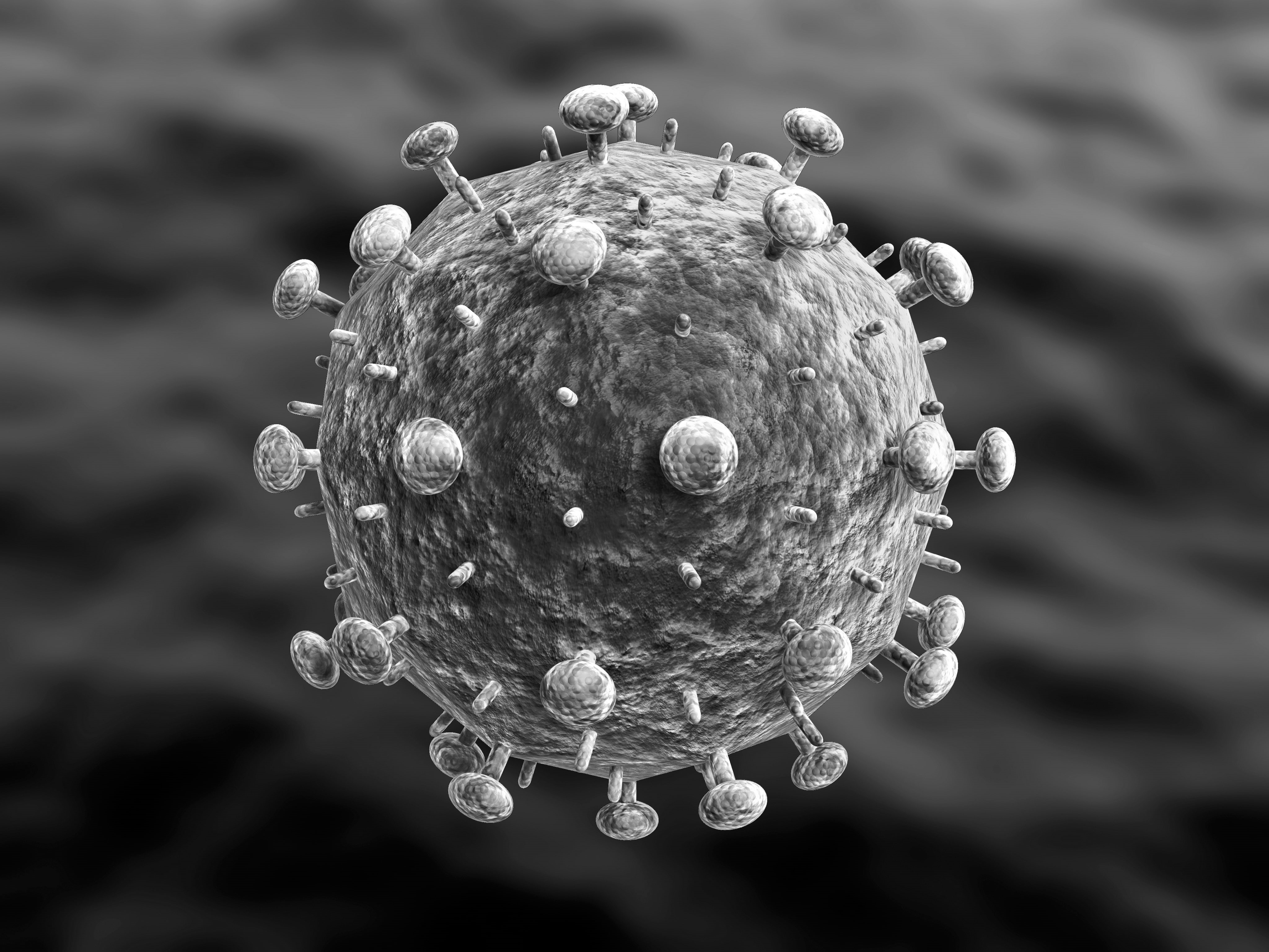 nature, pattern, animal themes, selective focus, no people, biology, healthy eating, round, animal, molecule, viruses, extreme close-up, grayscale, single object, HD Wallpaper