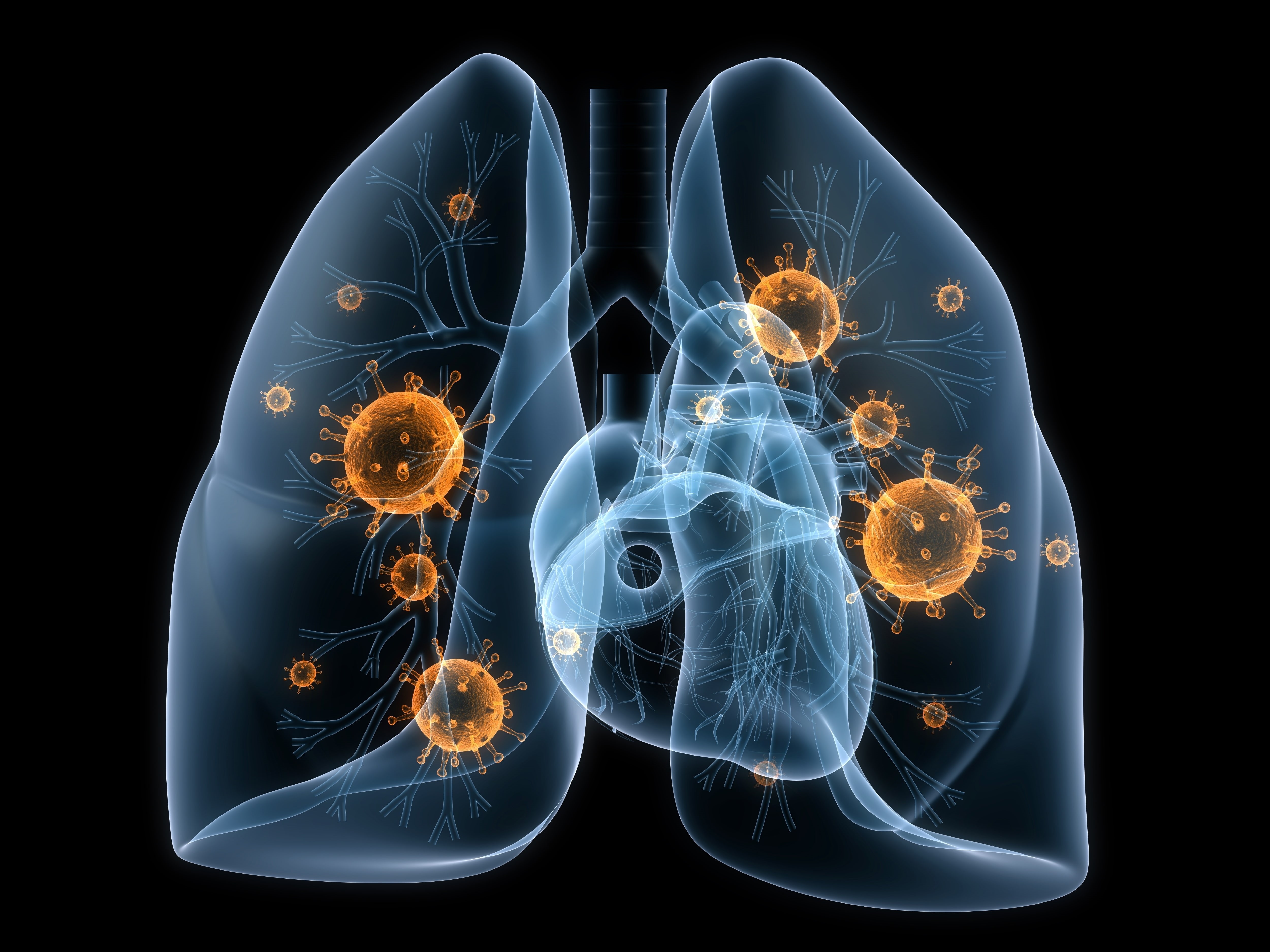 disease, viruses, 4K, lungs, bacteria, HD Wallpaper