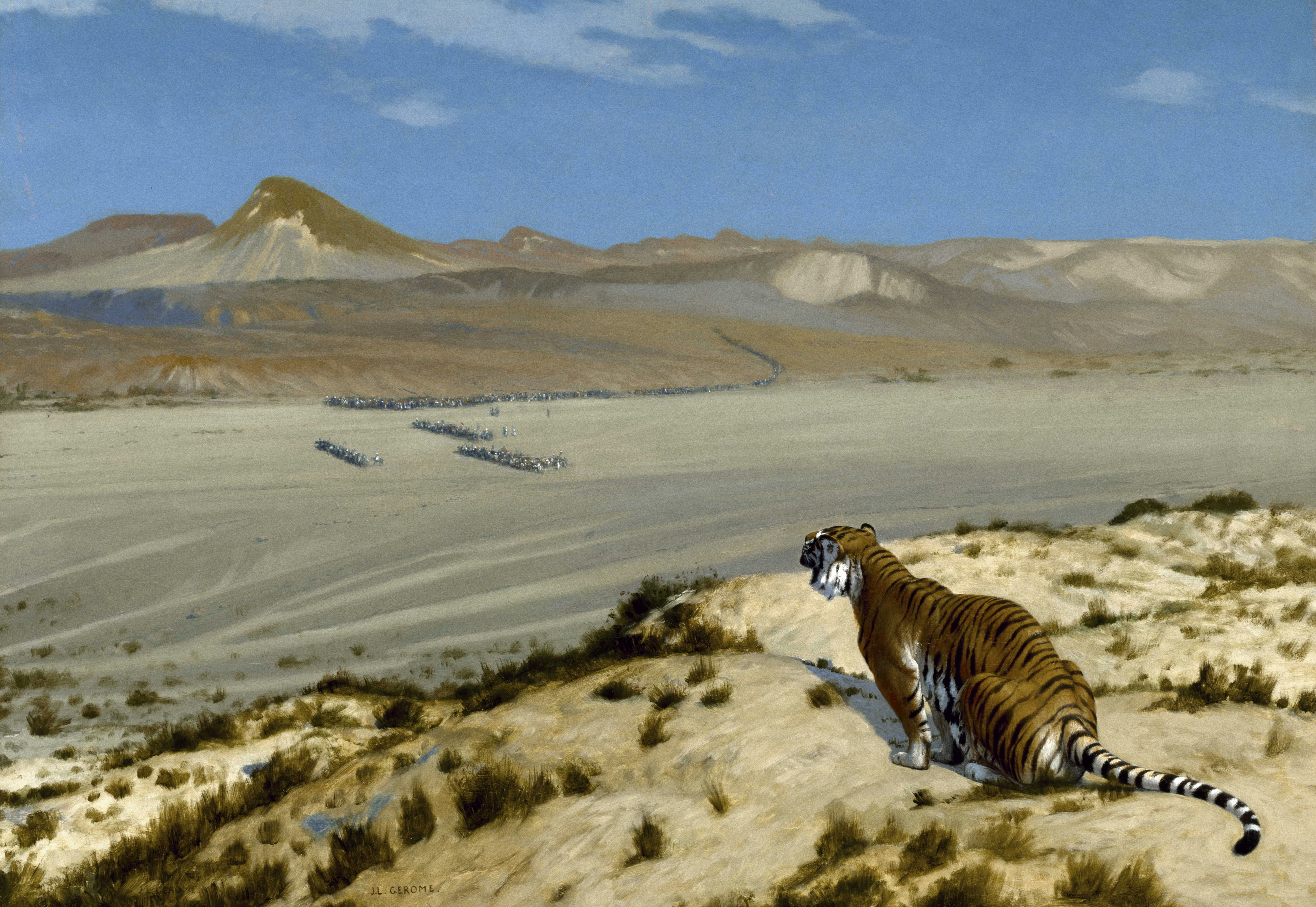 cat, 8K, landscape, Alert Tiger, Jean-Leon Gerome, picture, HD Wallpaper