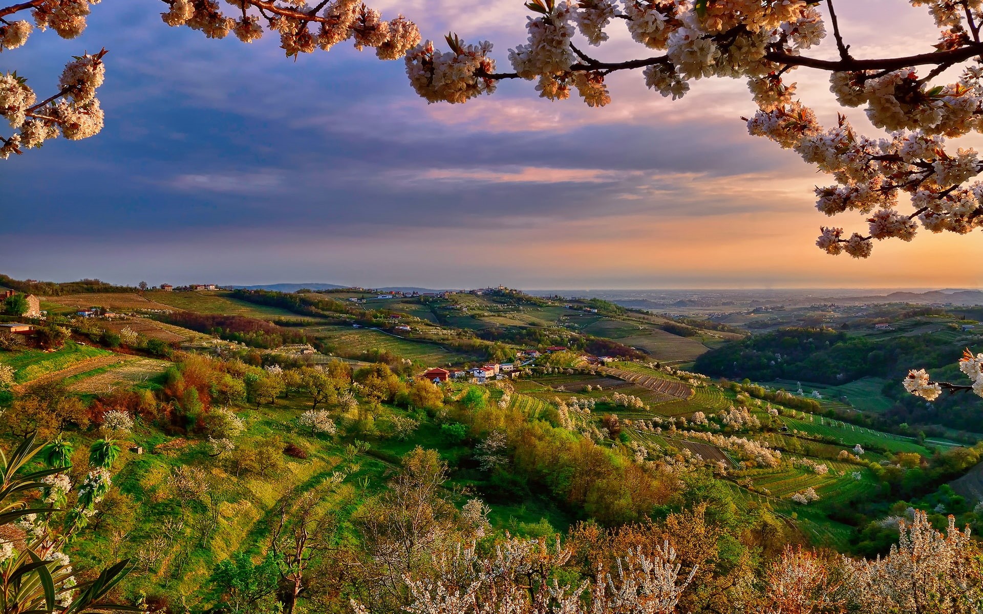 Valley, Spring, Dusk, Italy, Trees, Flowers, Lombardy, 1080P, collio, HD Wallpaper