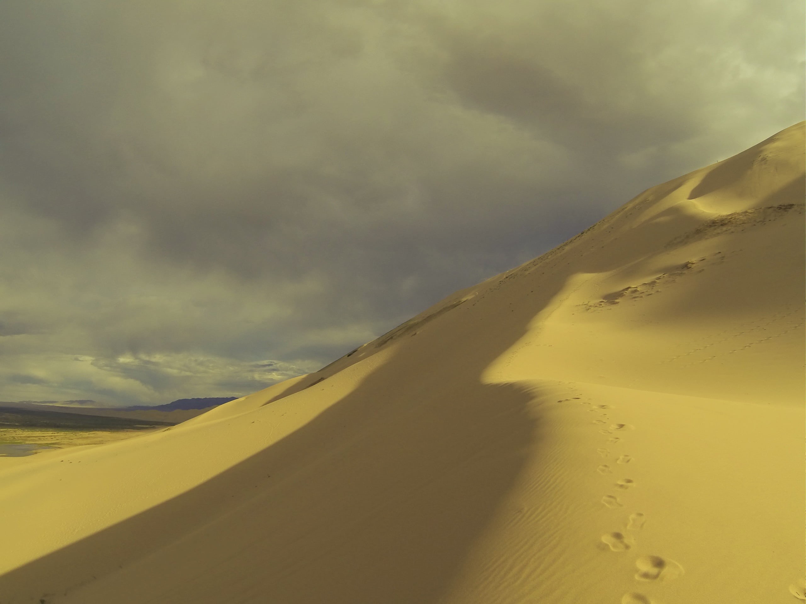 climate, gobi desert, mongolia, suburbs, sky, environment, land, yellow, ferns, outdoors, arid climate, day, sand, cloud - sky, beauty in nature, 2K, travel, HD Wallpaper