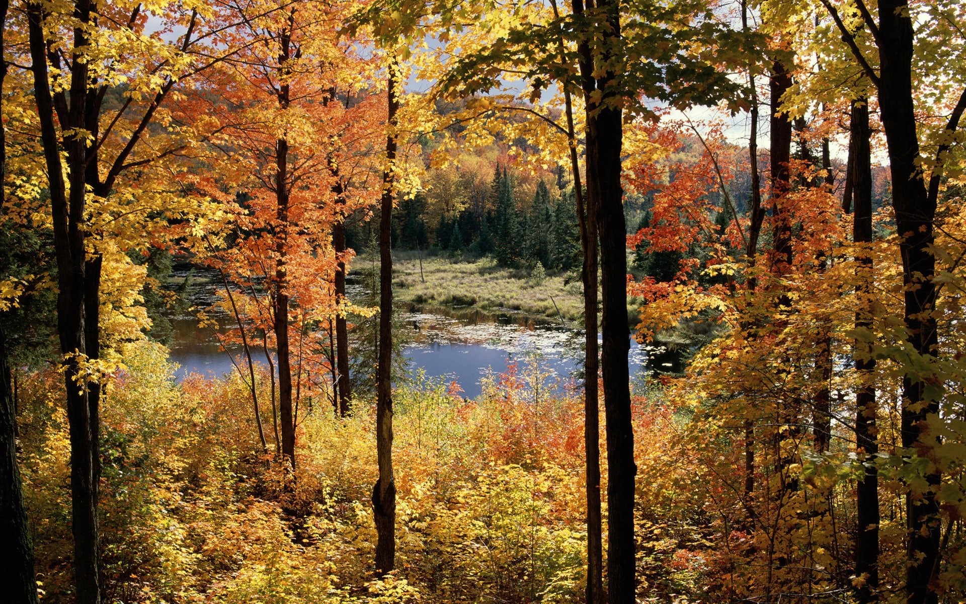 lake, canada, 1080P, fortune, park, travel, gatineau, quebec, HD Wallpaper