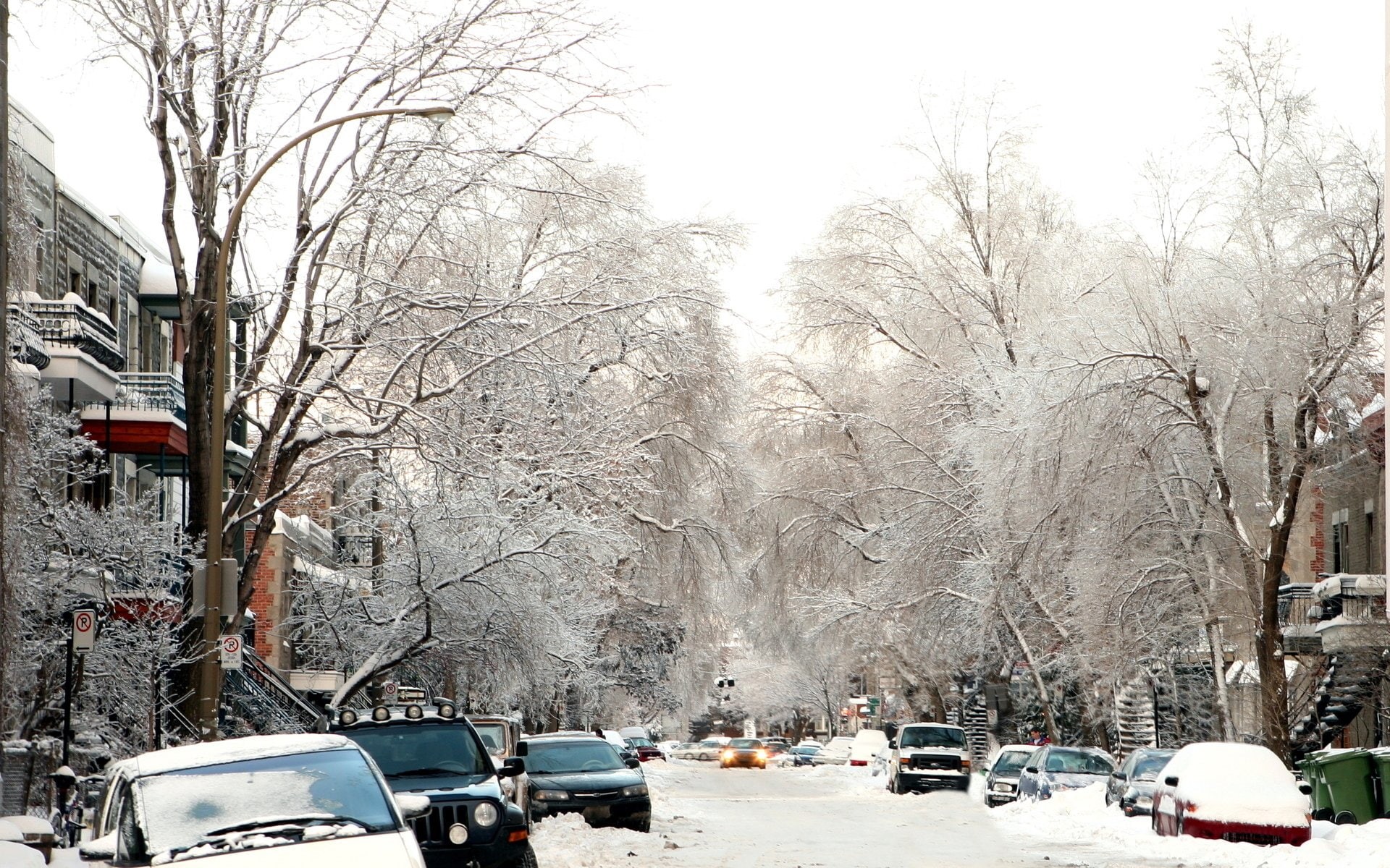 Winter, 1080P, Canada, Montreal, Snow, Photography, Quebec, HD Wallpaper