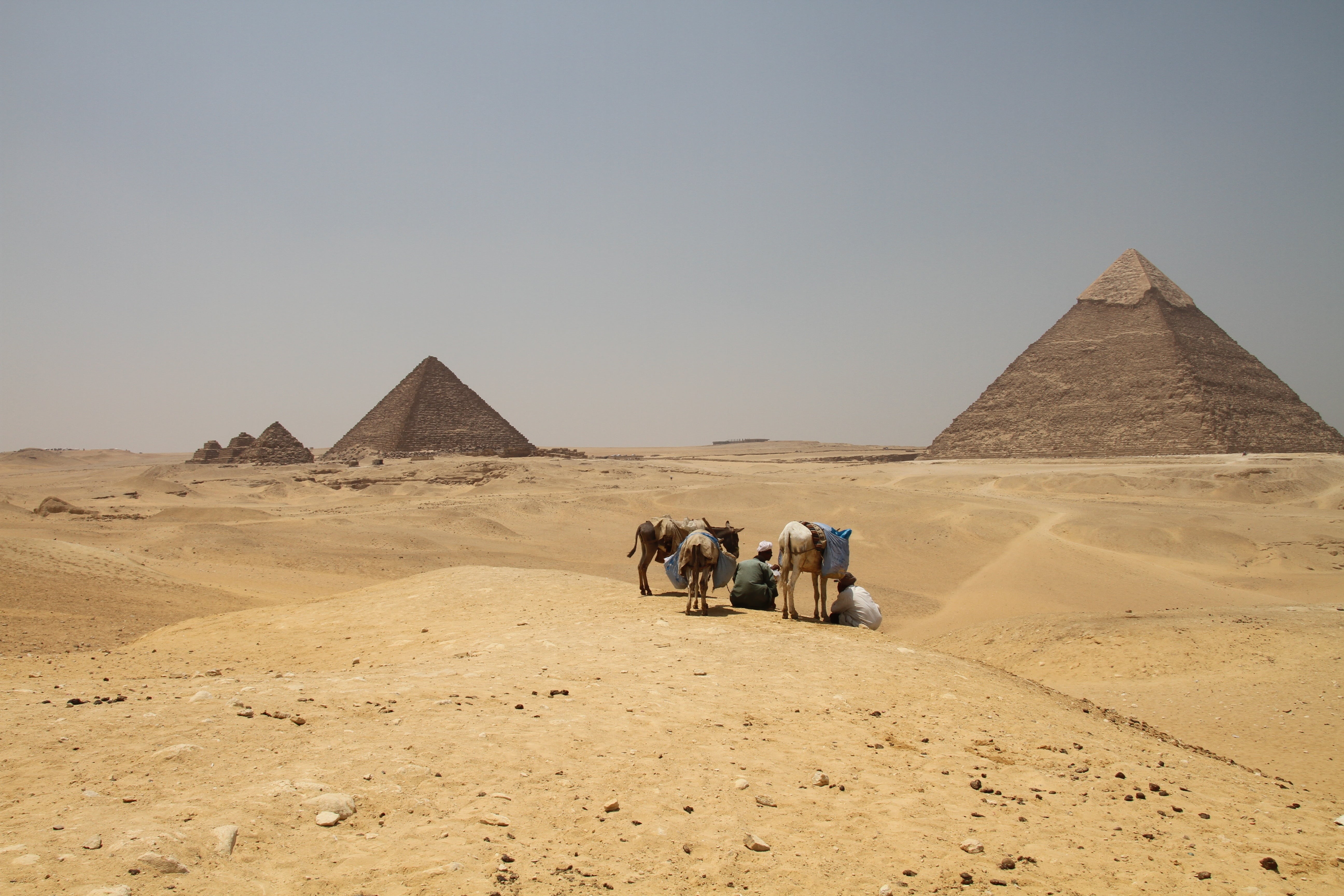 brown, the past, cairo, pharaoh, sahara Desert, ancient, arid climate, outdoors, egyptian, landscape, camel, ancient civilization, pyramid, ruin, nature, HD Wallpaper
