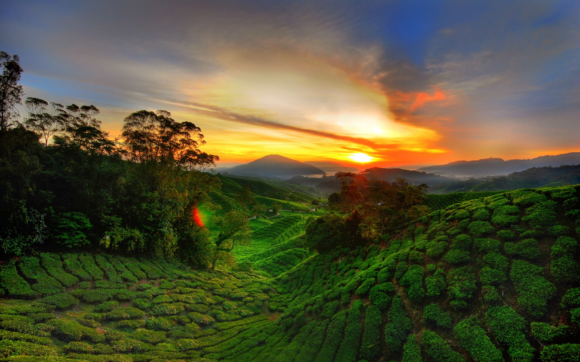 cameroon, sunset, 1080P, desktop, landscape, sky, full, africa, west, red, screen, green, HD Wallpaper