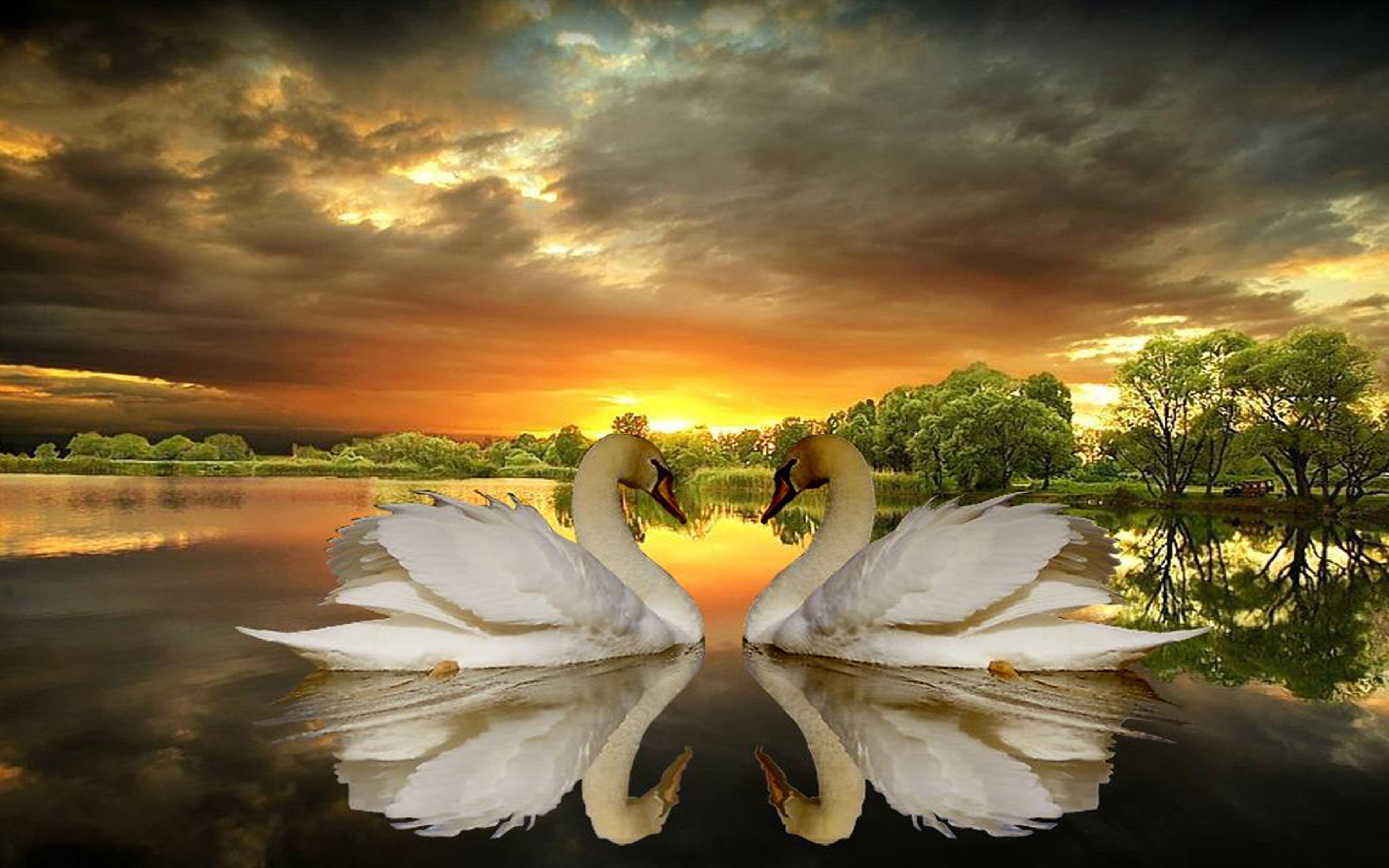 clouds, digital composite, vulnerability, sunset, flowering plant, water, flower, mobile, tranquility, flower head, phones, reflection, cloud - sky, plant, HD Wallpaper