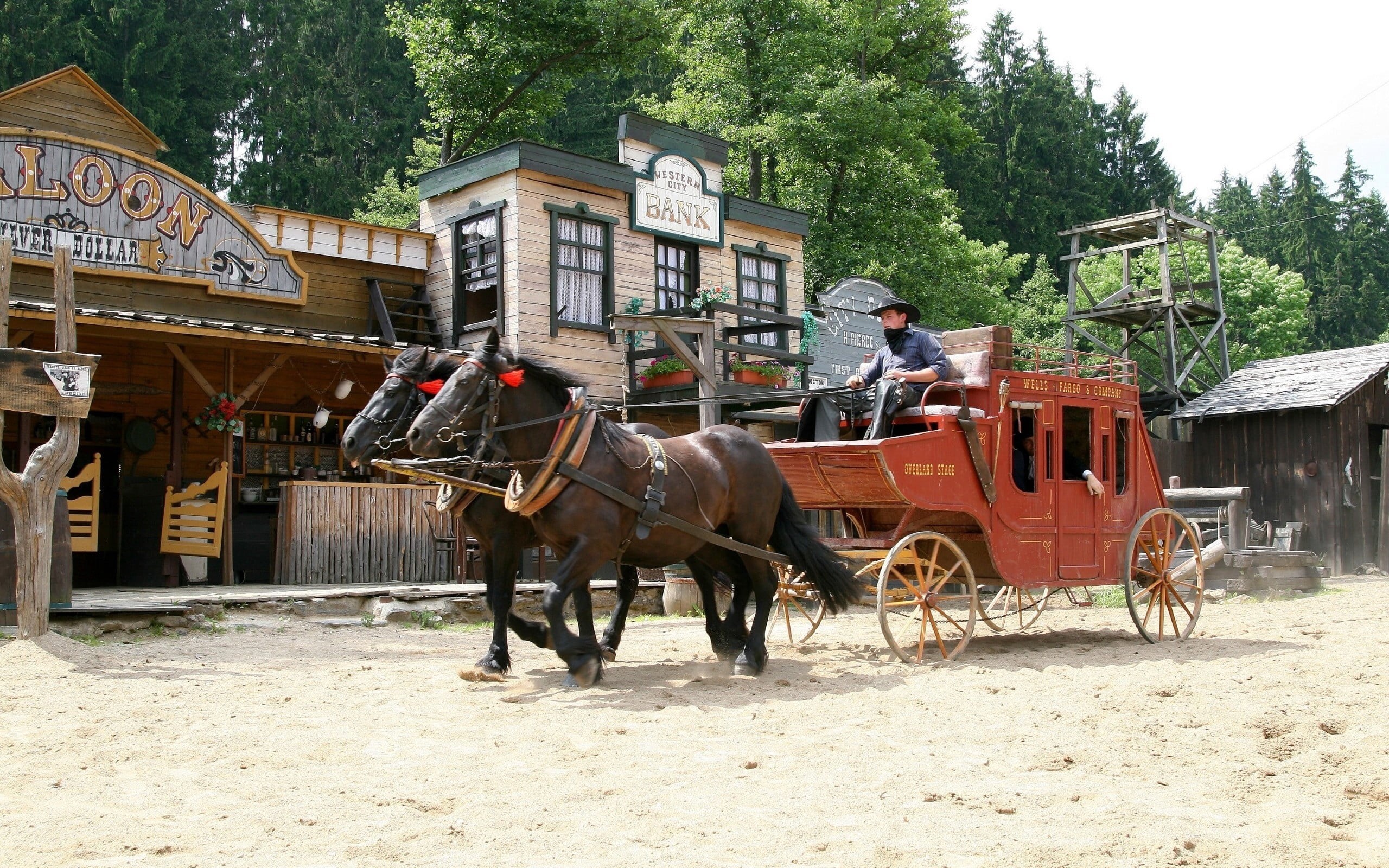 rural Scene, wild West, carriage, domestic animals, rider, vertebrate, building exterior, group of animals, cart, working animal, people, horsedrawn, pets, HD Wallpaper