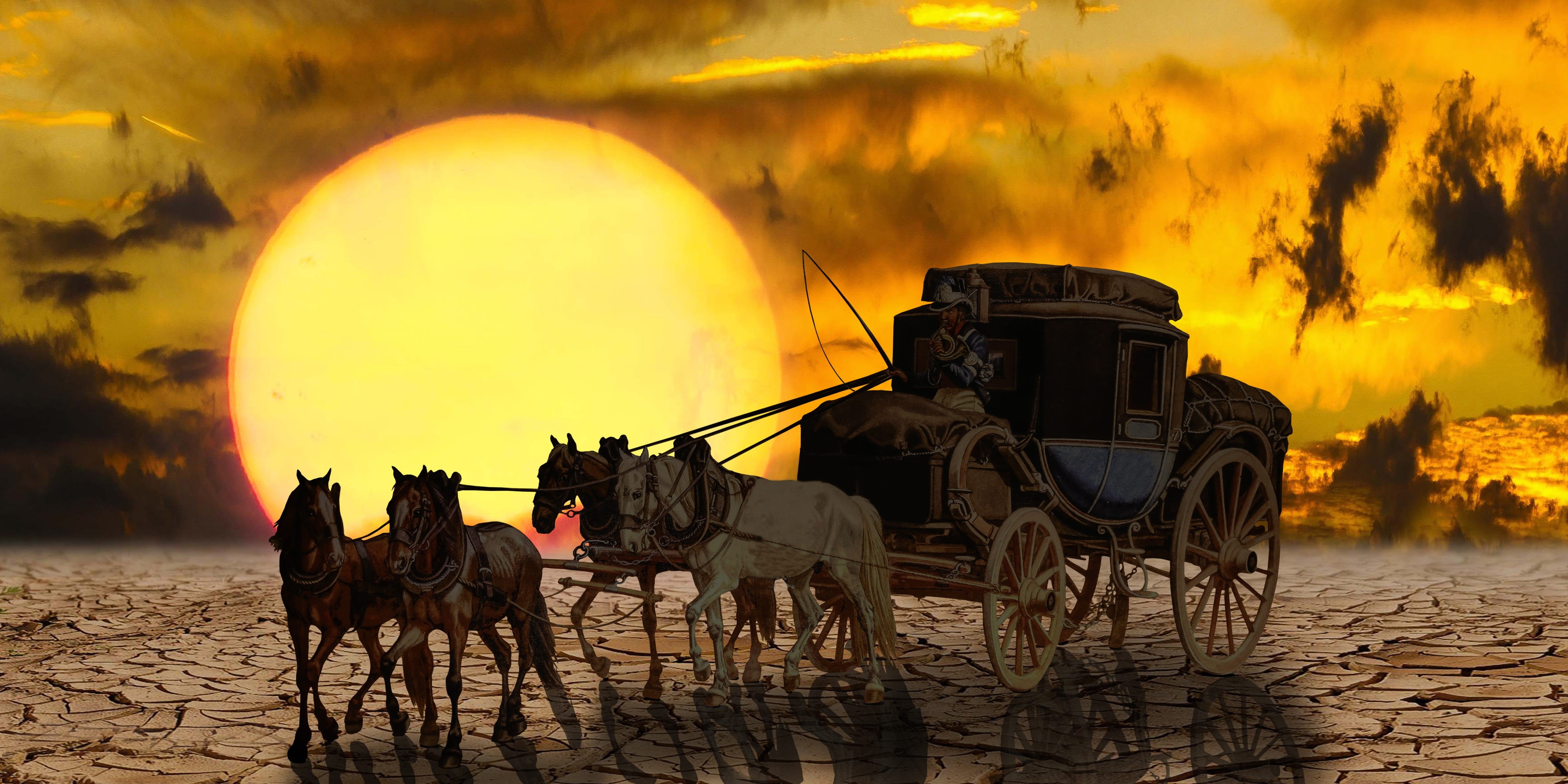 horses, sunset, outdoors, working animal, silhouette, painting, transport, mammal, carriage, landscape, team, fantasy, drought, on the move, transportation, HD Wallpaper