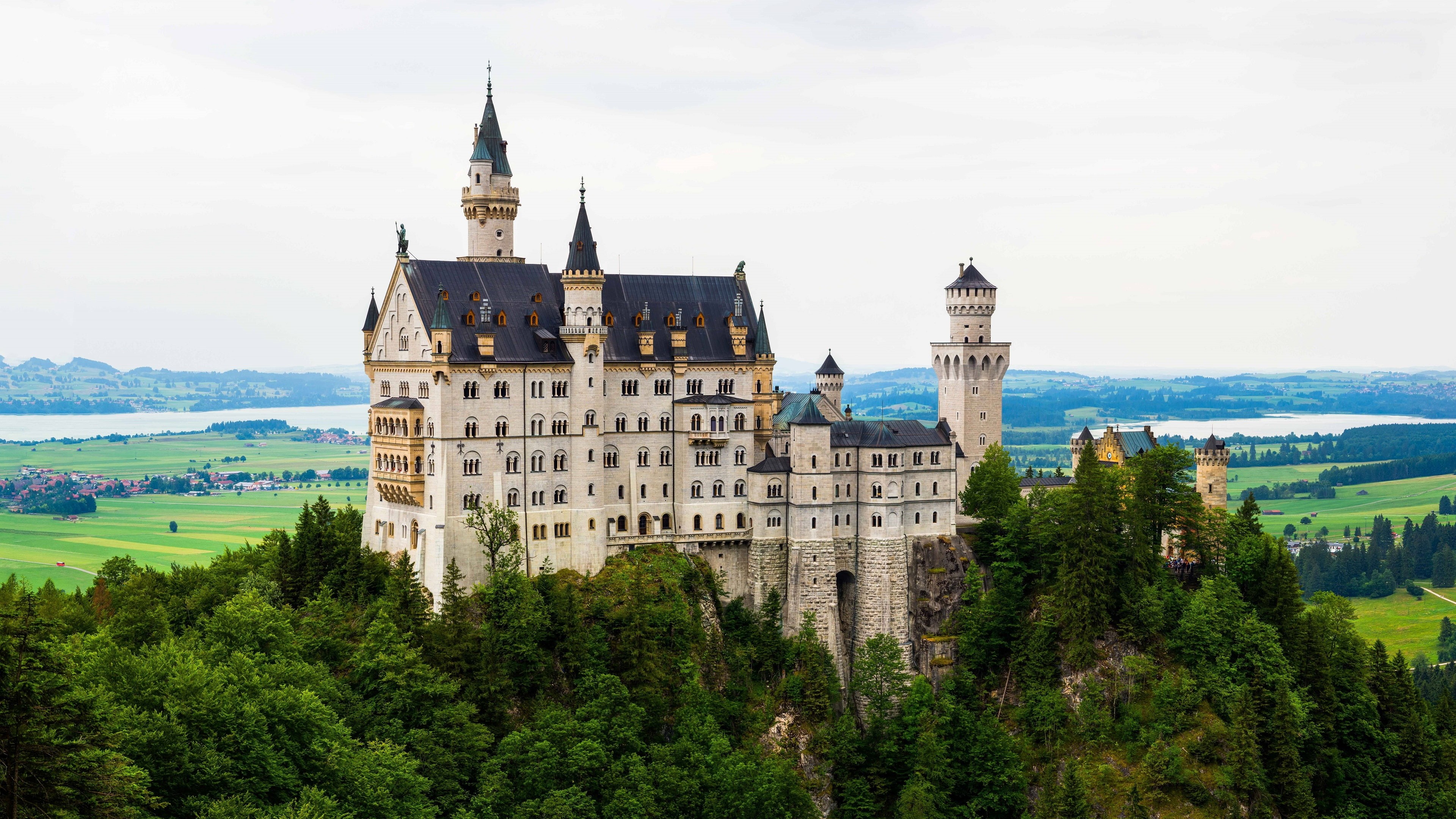 Germany, castle, water, green color, building exterior, built structure, architecture, history, day, no people, city, growth, tree, tower, travel destinations, HD Wallpaper