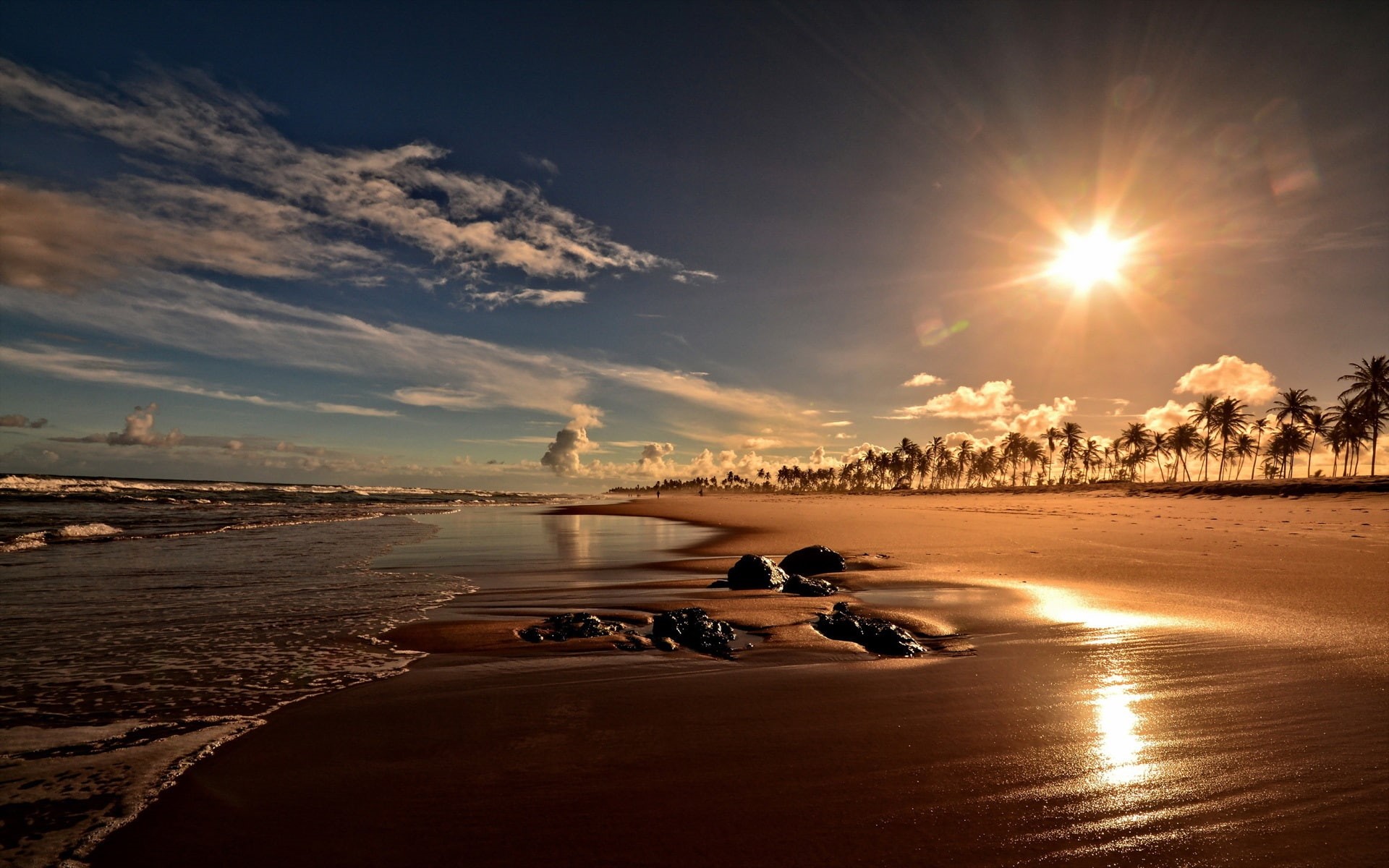 Bahia, Brazil, Trees, 1080P, Coast, Sunset, Beach, Palm, HD Wallpaper