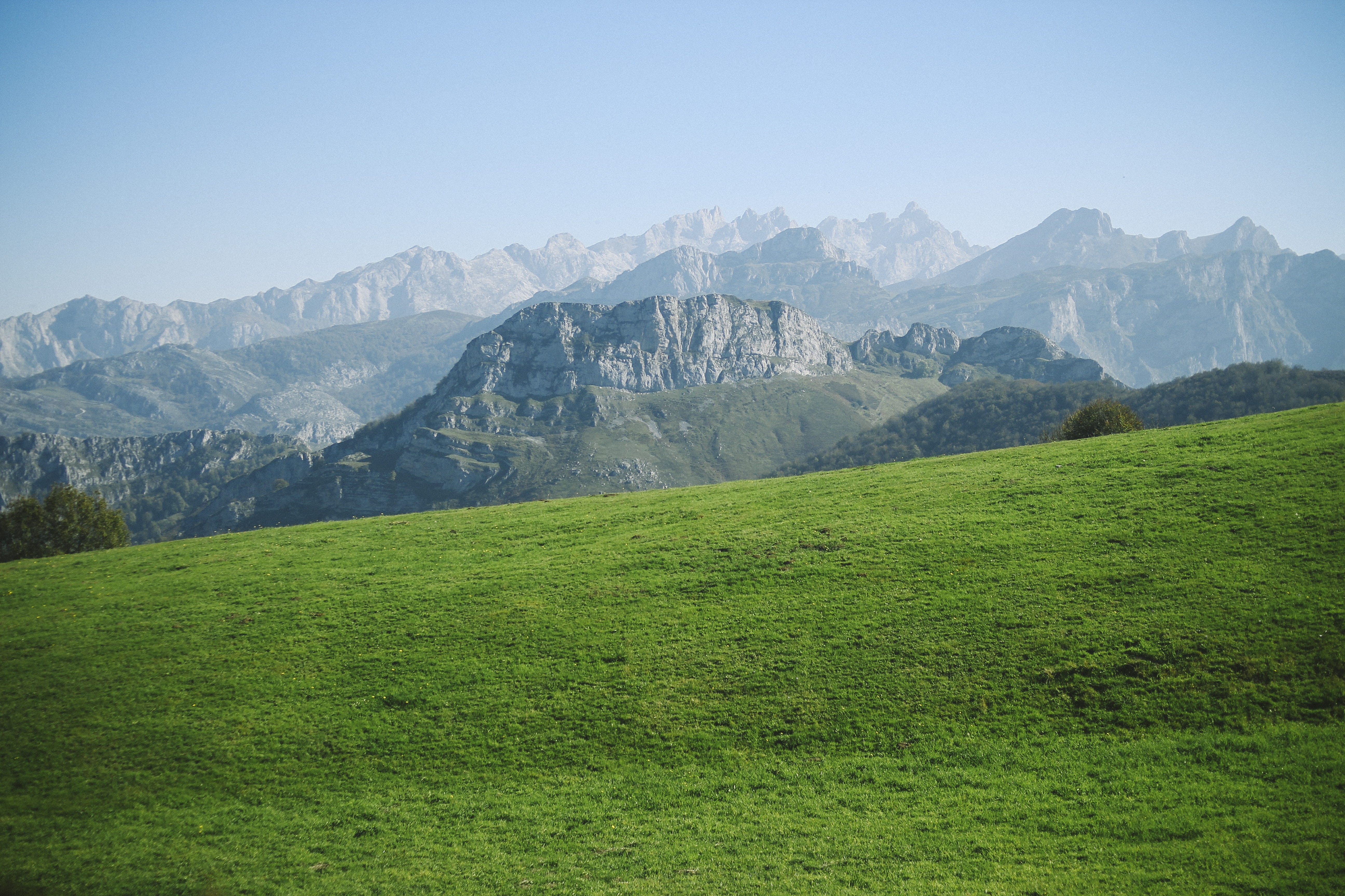 beauty in nature, tranquil scene, non-urban scene, pine tree, scenics - nature, coniferous tree, 5K, mountain range, land, sight, nature, field, picos de europa, HD Wallpaper