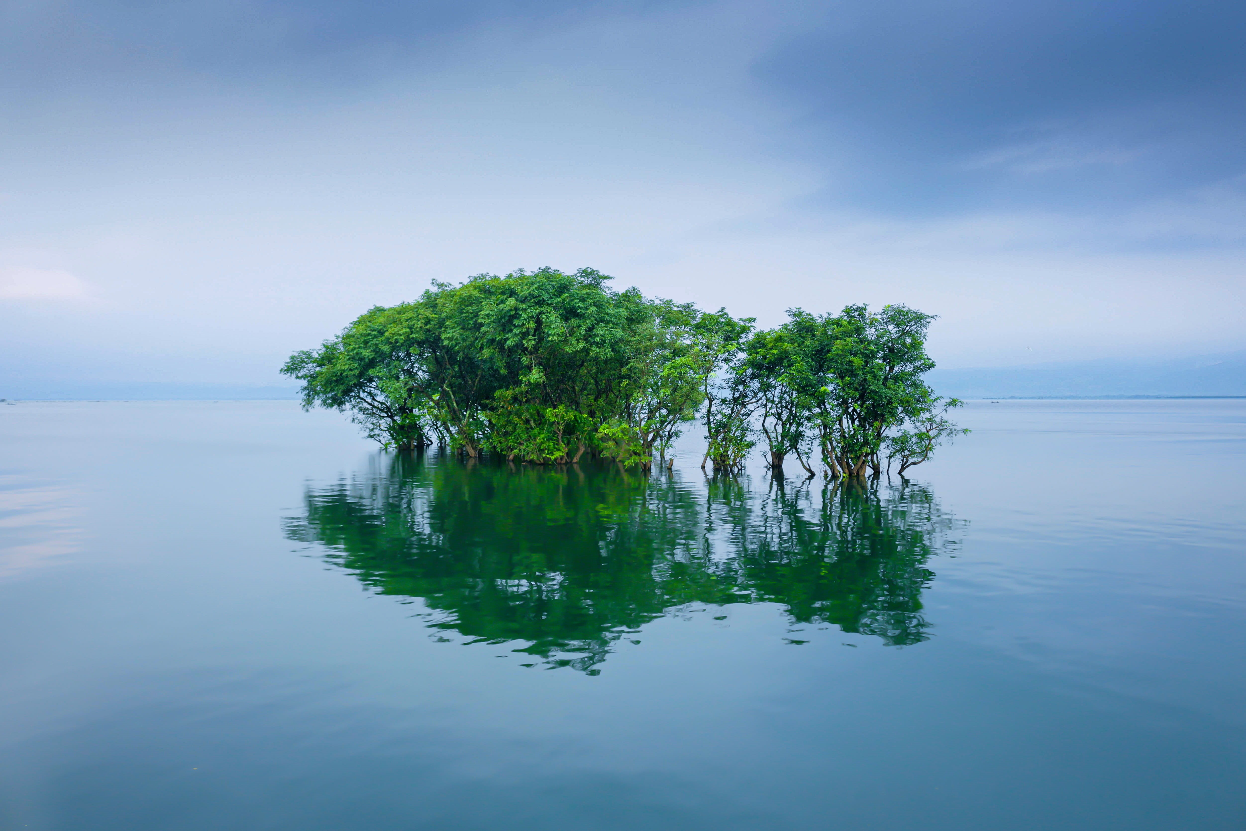 waterfront, bangladesh, green, growth, environment, sea, scenery, tranquil scene, reflection, outdoors, scenics - nature, no people, 4K, water, beauty in nature, HD Wallpaper
