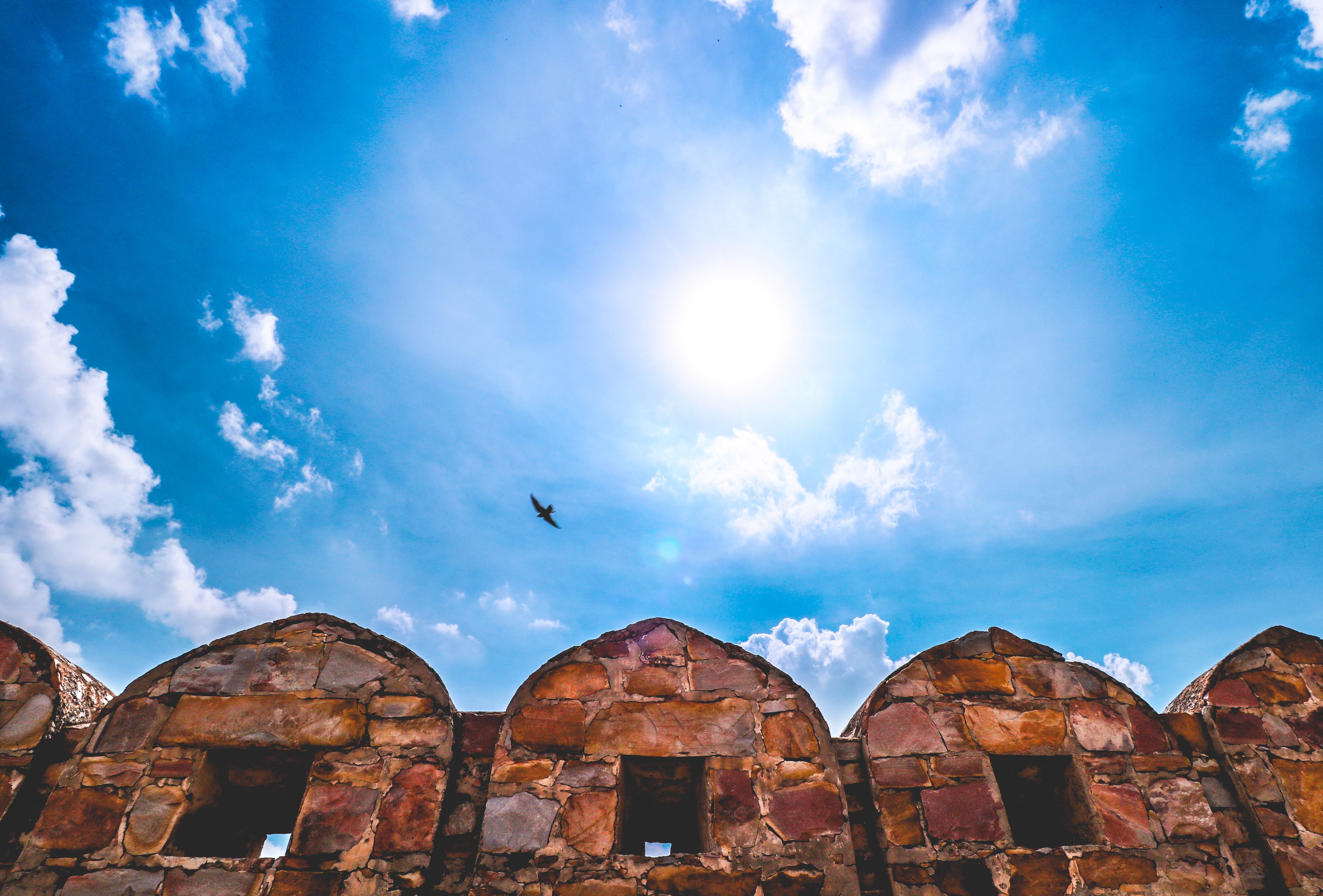 built structure, cloud - sky, no people, jaipur, animal, vertebrate, flying, the past, 5K, rajasthan, building exterior, rock, away, travel destinations, HD Wallpaper