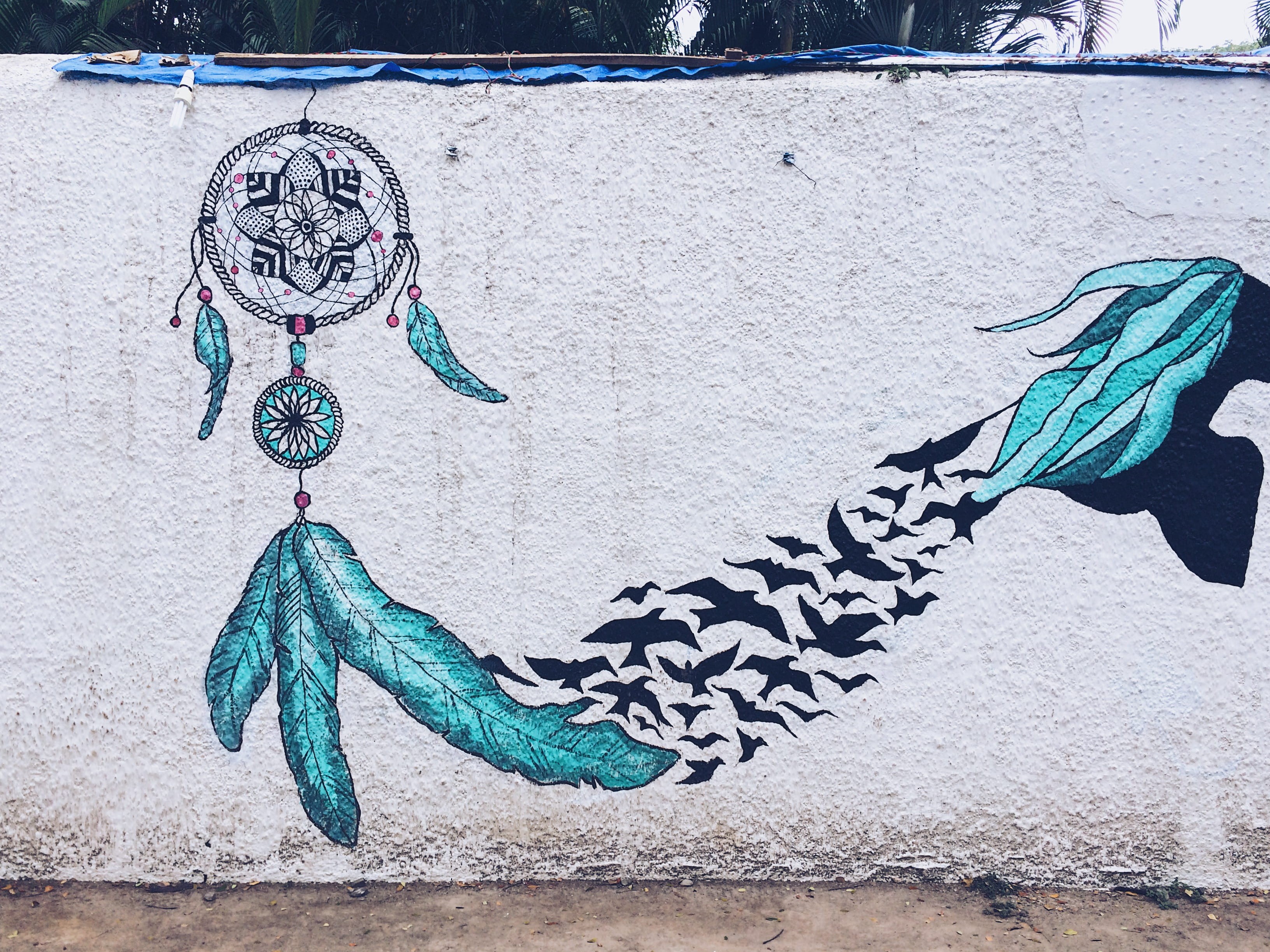 close-up, animal representation, hanging, floral pattern, kochi, street art, built structure, cochin, building exterior, representation, wall - building feature, HD Wallpaper