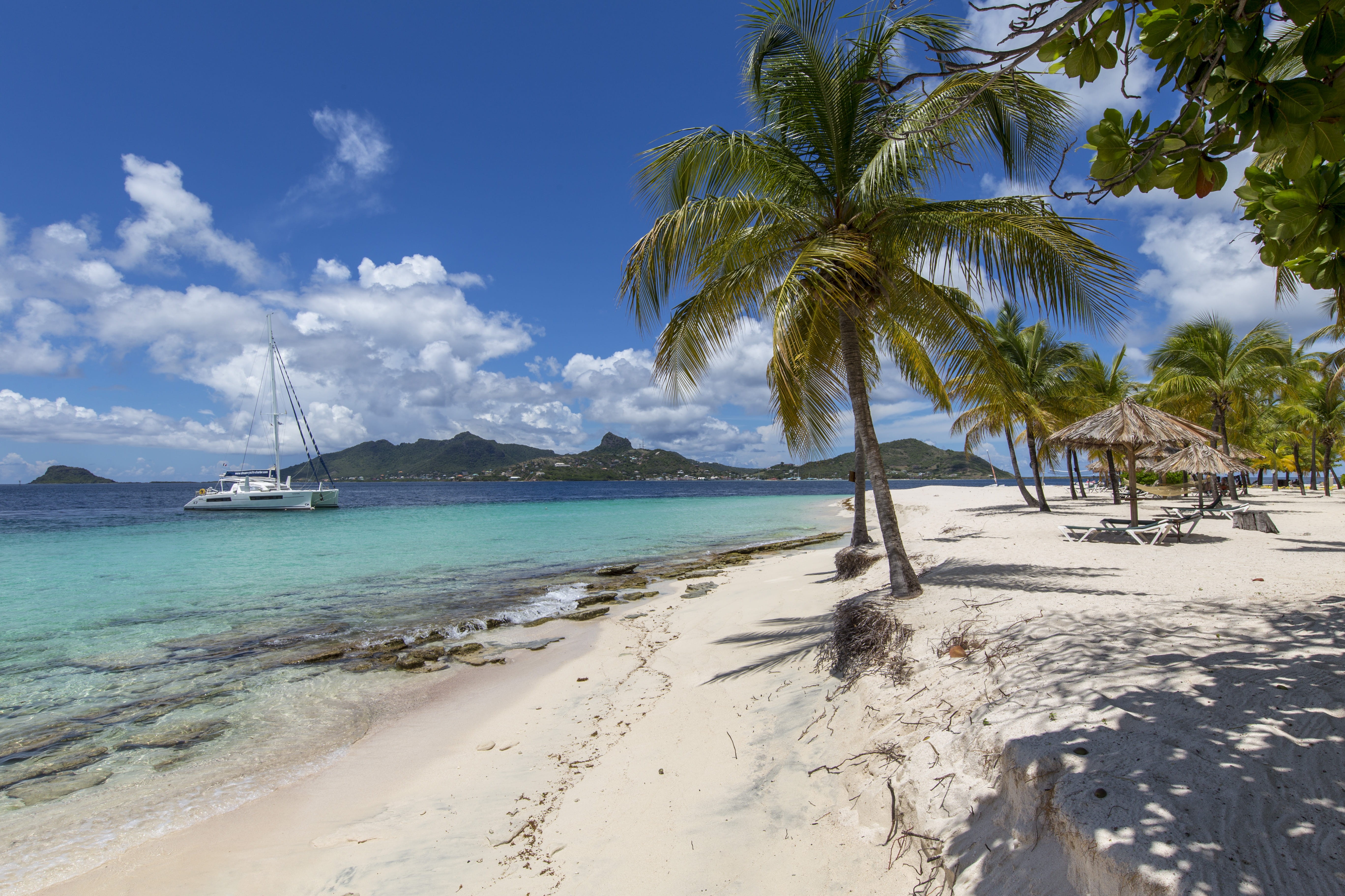 sea, grenadines, coconut palm tree, tranquility, saint vincent and the grenadines, blue, tranquil scene, st. vincent, idyllic, scenics - nature, cloud - sky, HD Wallpaper