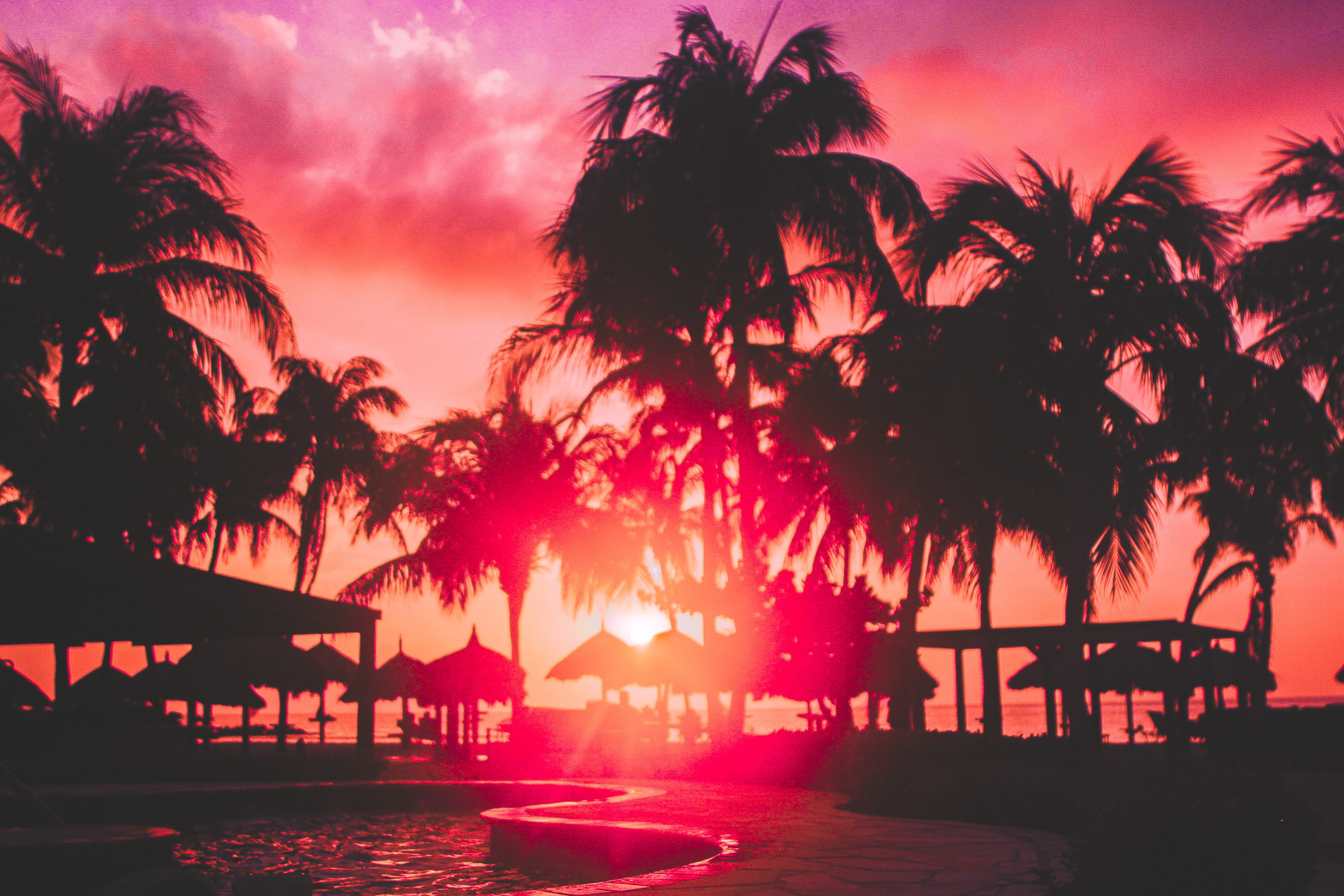 plant, no people, architecture, growth, beauty in nature, divi beach, scenics - nature, outdoors, sunset, tropical climate, sky, sea, nature, silhouette, HD Wallpaper