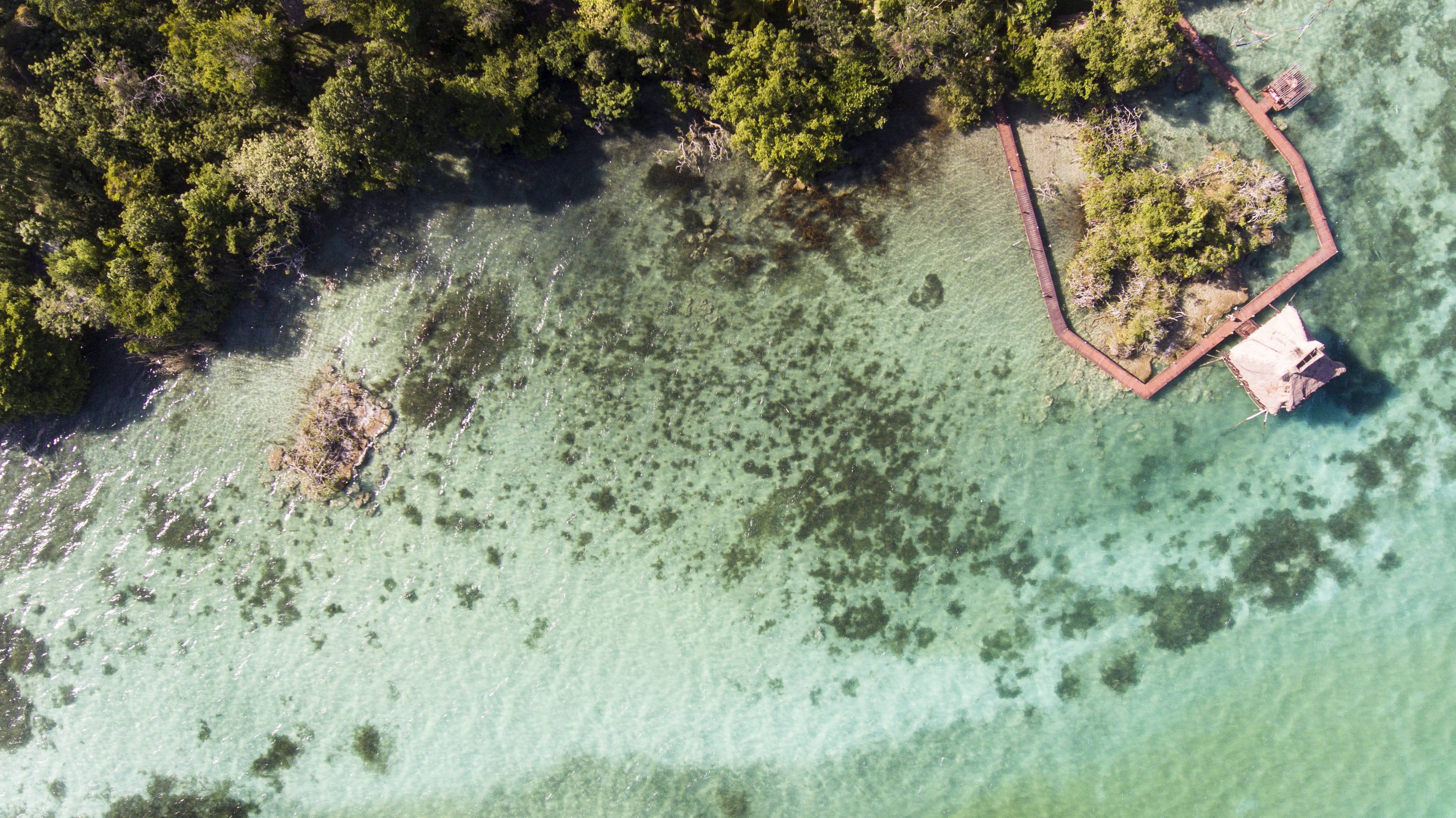 one person, beauty in nature, high angle view, lifestyles, rocks, lagoon, leisure activity, plant, drone, mexico, bacalar, manglar, non-urban scene, tree, HD Wallpaper