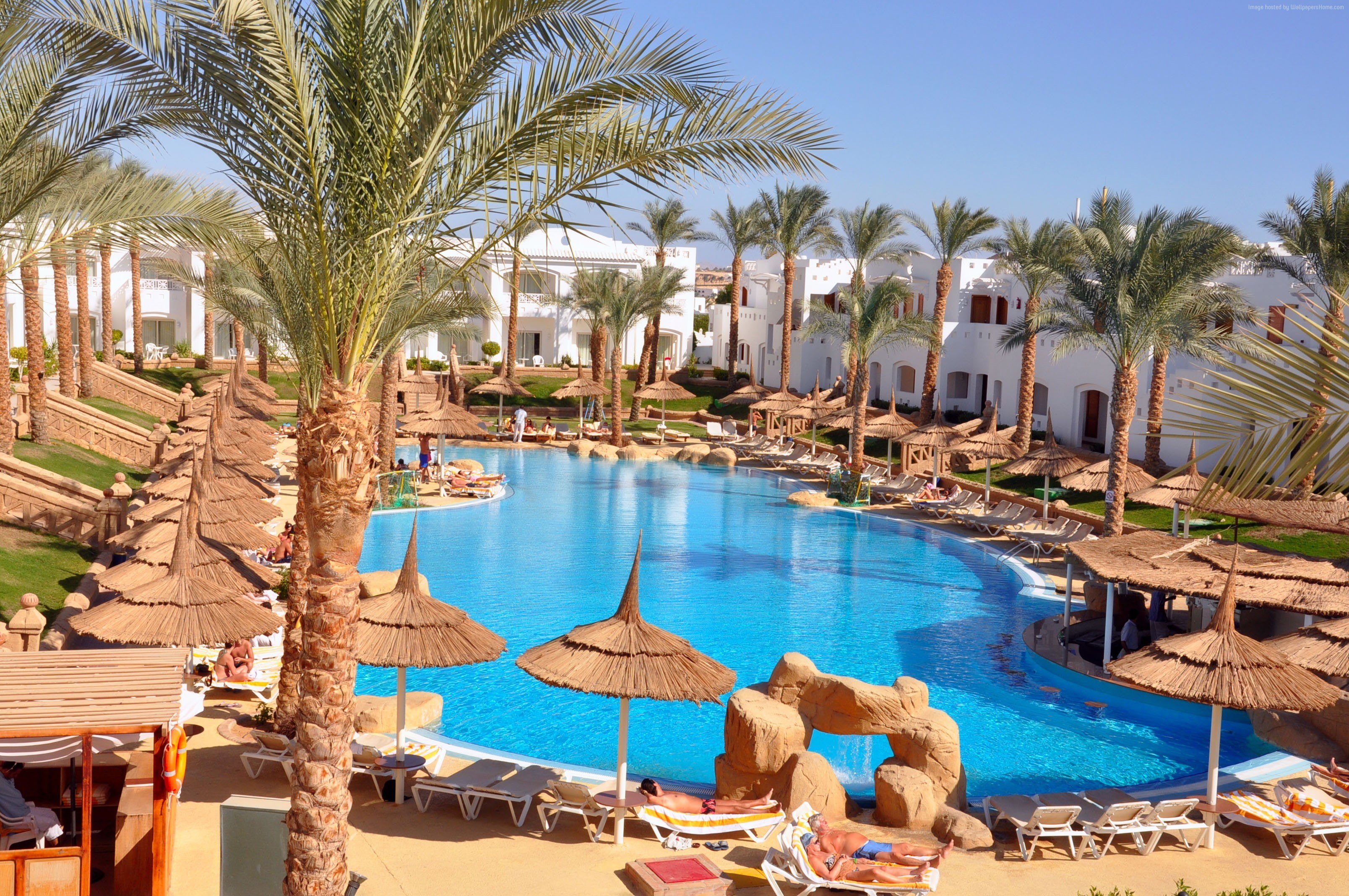 travel, resort, tourism, Best Hotels of 2017, 2K, Tropicana Rosetta and Jasmine Club, palms, vacation, pool, sunbed, HD Wallpaper