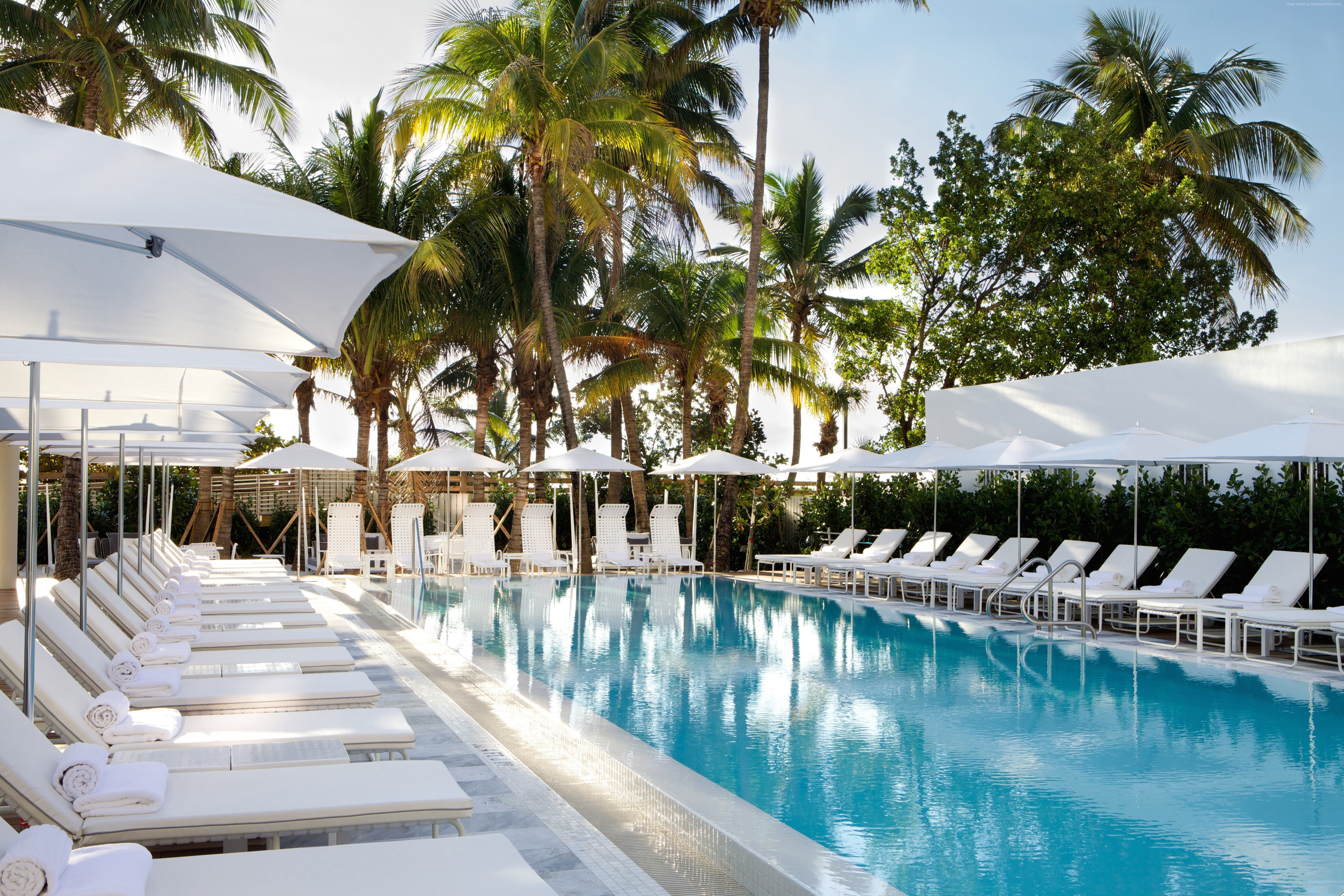 vacation, water, Metropolitan by COMO, sunbed, travel, Miami, 5K, sky, booking, hotel, pool, palm, HD Wallpaper
