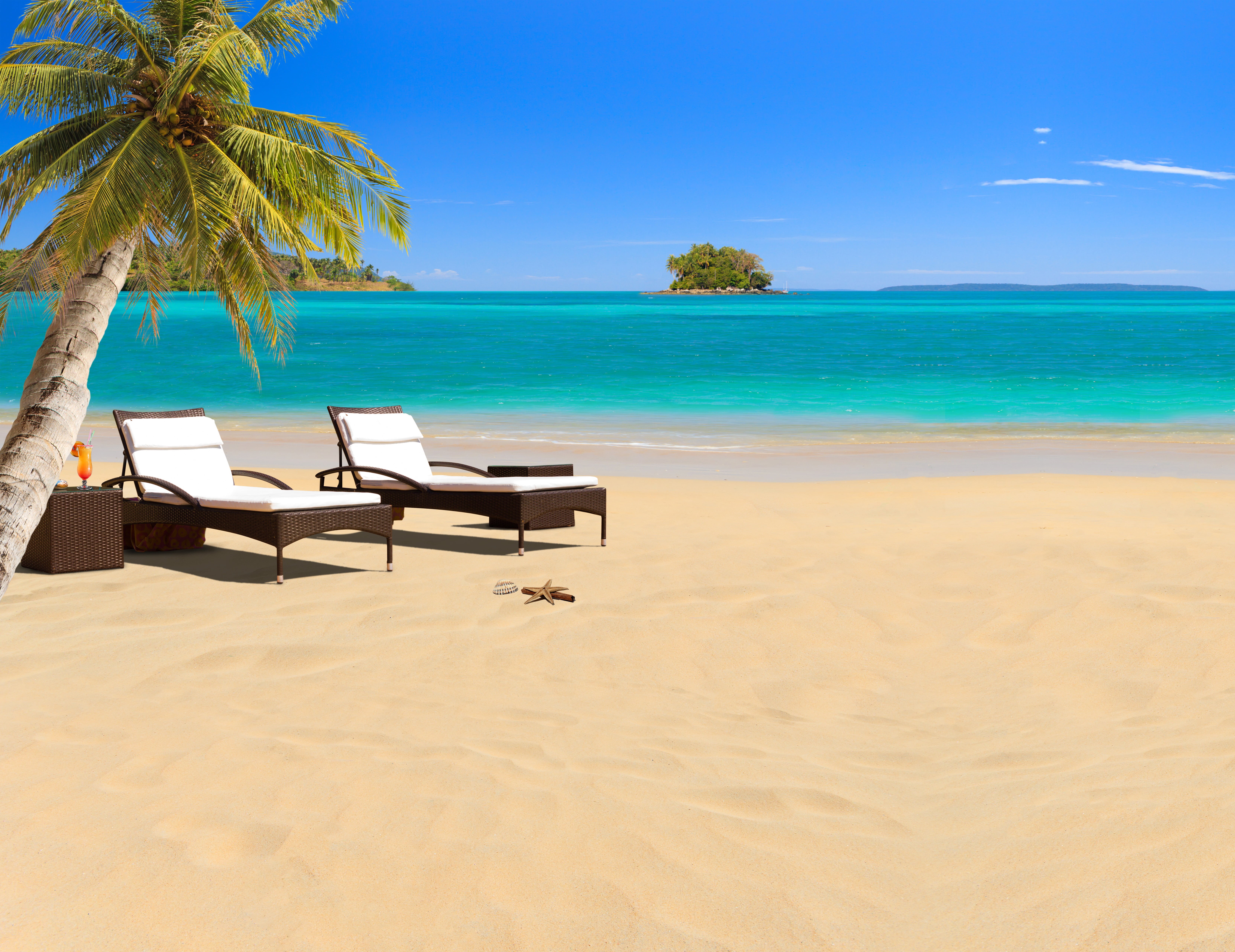 sunny, shell, travel Locations, cocktail, umbrellas, bay Of Water, journey, loungers, outdoors, land, tropic, water, brown, seascape, wave, beauty In Nature, HD Wallpaper