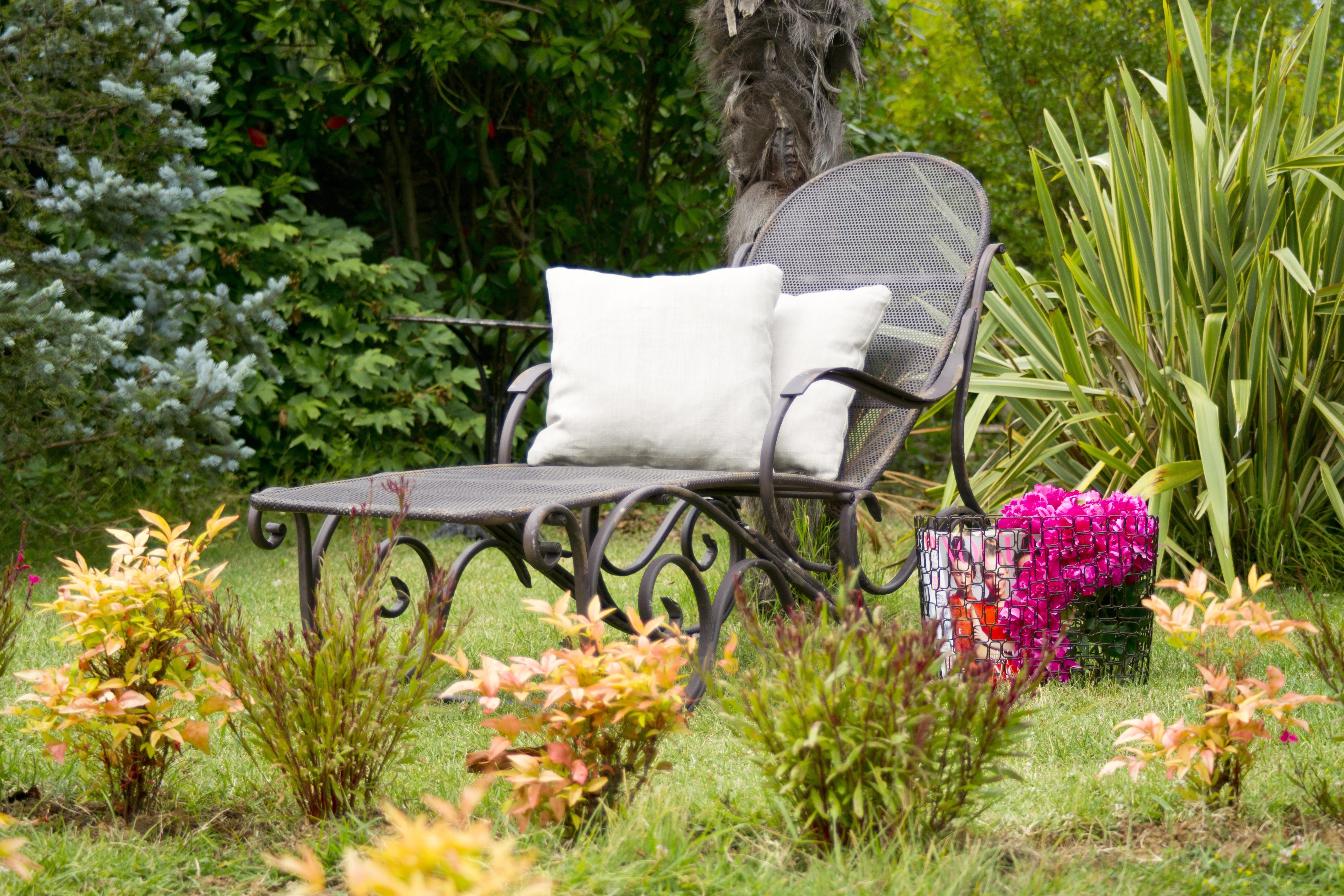 plant, design, health, day, chair, relaxation, photography, beauty in nature, seat, green, front or back yard, 5K, Sunbeds, lounger, decorative, beautiful, HD Wallpaper