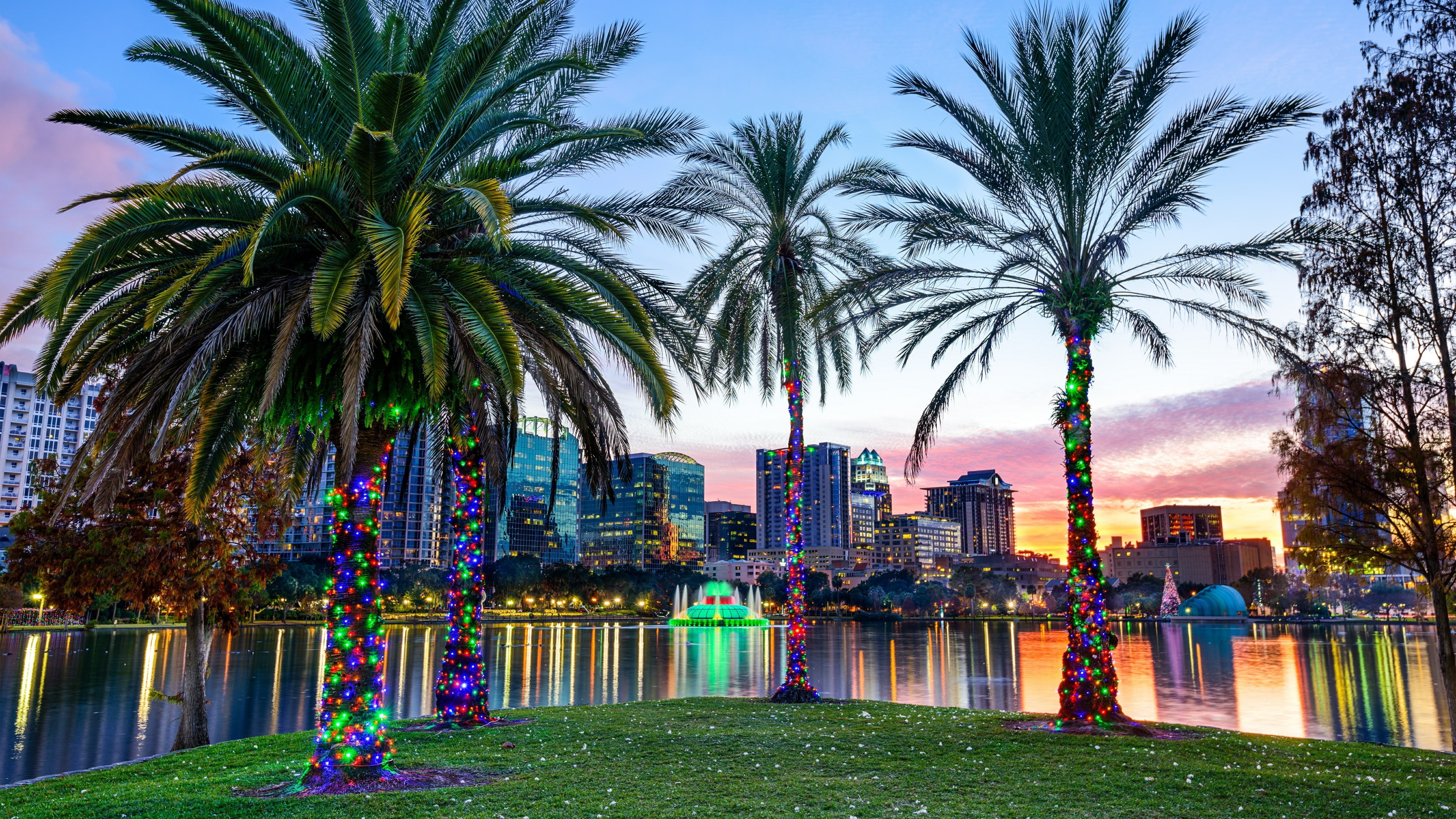 reflection, palm, arecales, united states, palm tree, lake, peninsula, usa, city, plant, lake eola park peninsula, palms, florida, landscape, sky, lake eola, HD Wallpaper