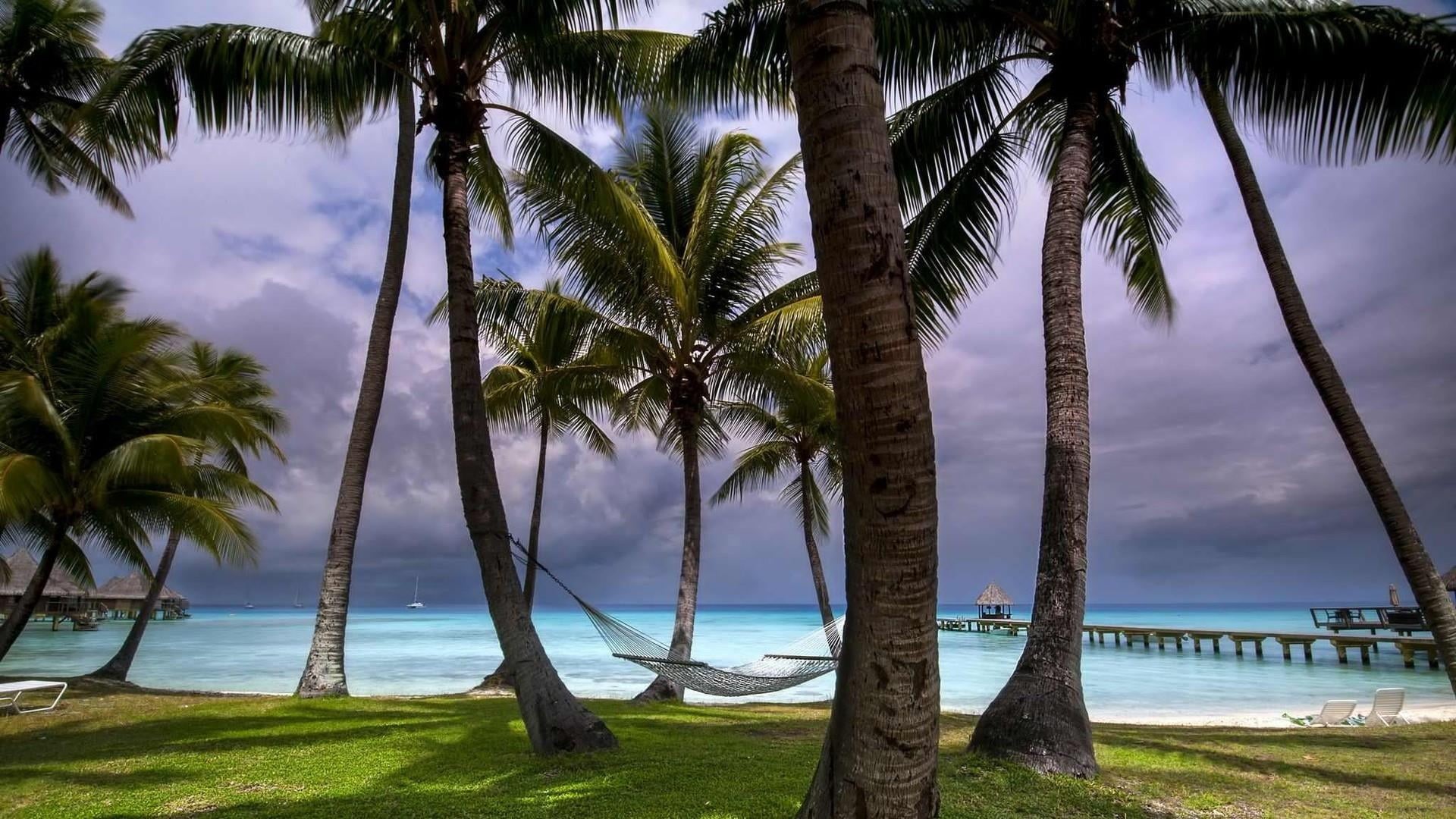 tourism, rangiroa, tranquil scene, resort, cloud - sky, beauty in nature, tuamotus, leisure, water, avatoru, caribbean, nature, sky, palm tree, arecales, HD Wallpaper