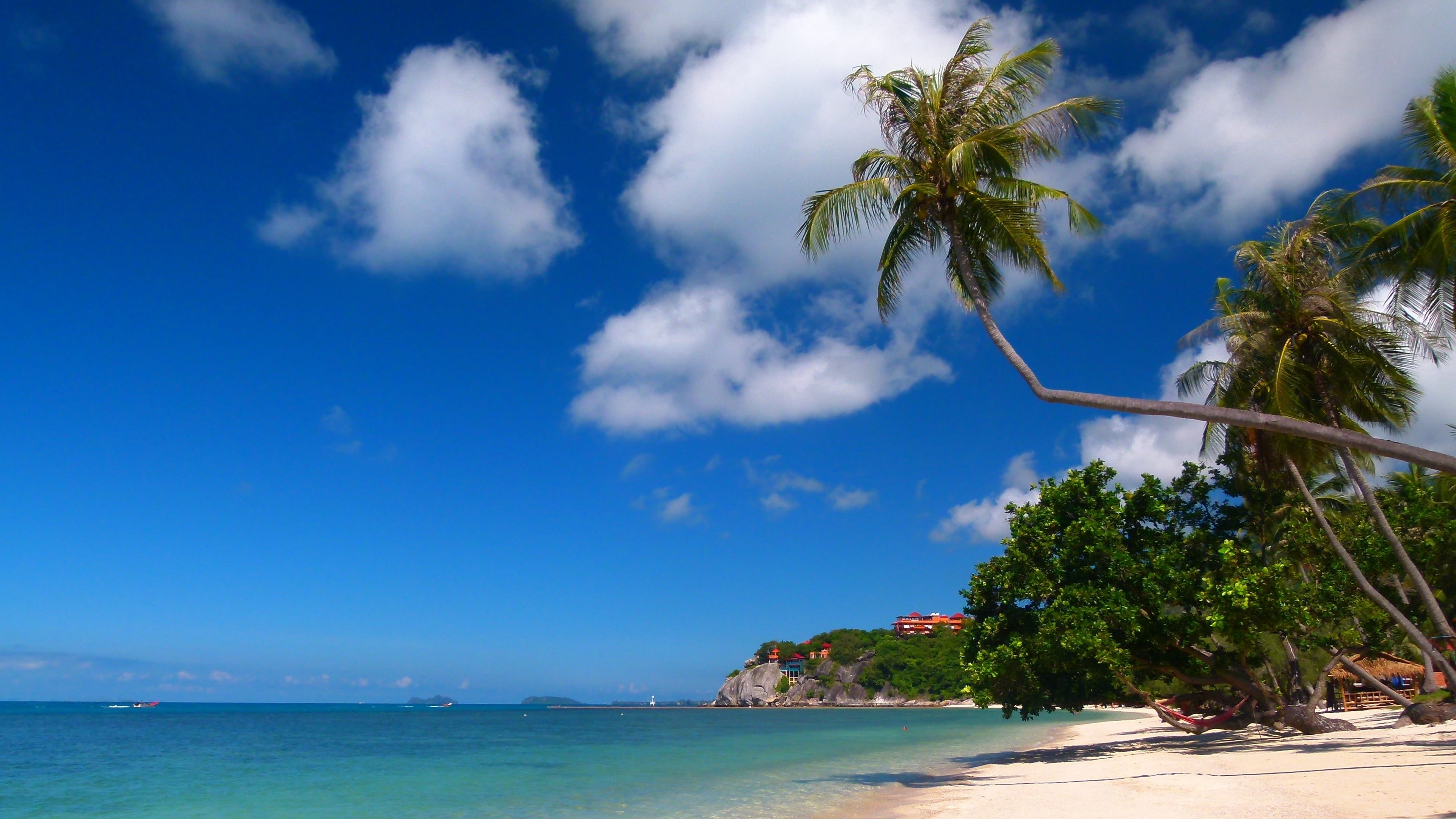 tropical beach, travel destinations, tropics, beauty in nature, plant, tropical tree, cloud - sky, suratthani, tranquil scene, blue, beach, land, 4K, arecales, HD Wallpaper