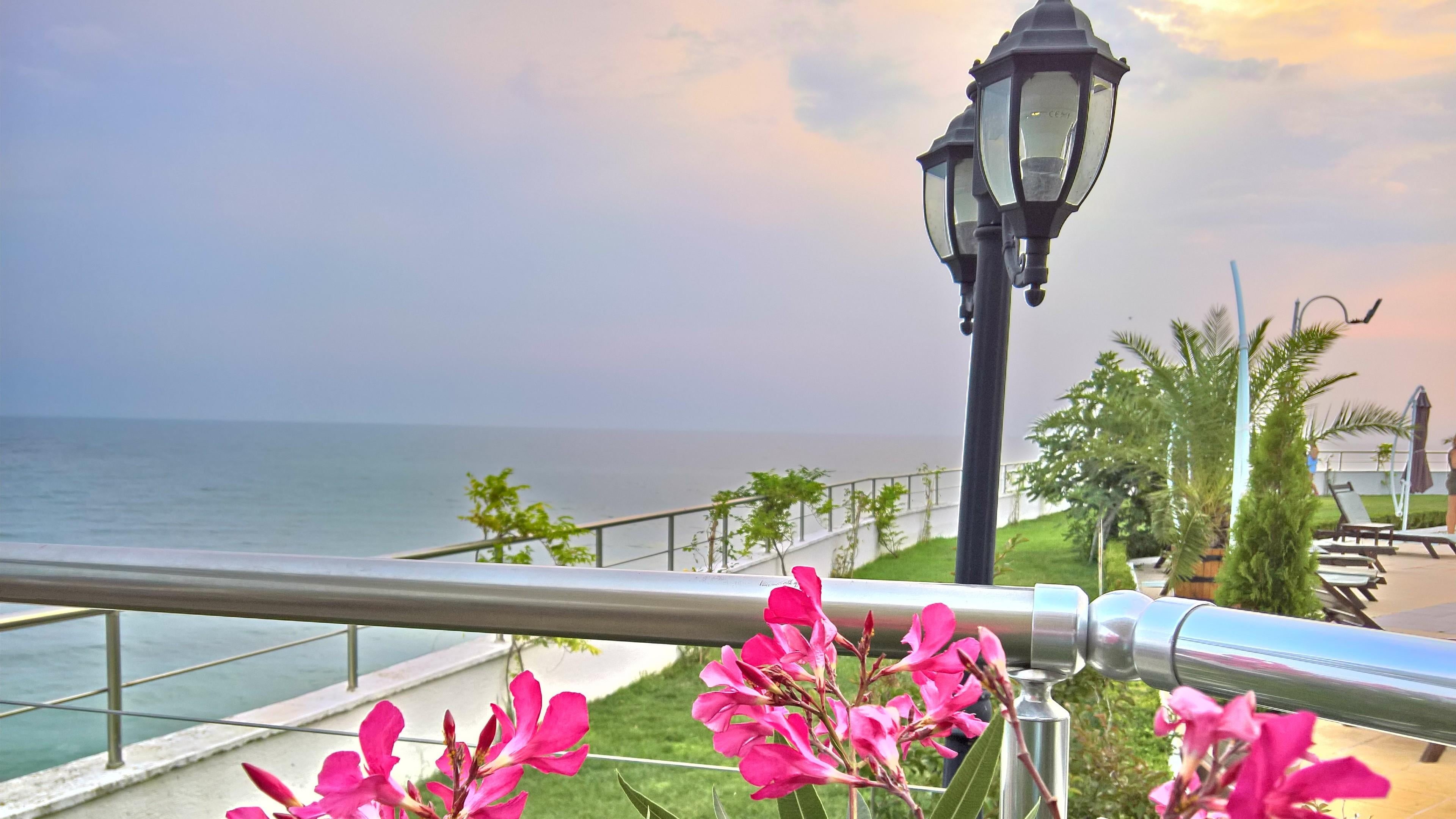 railing, palm tree, resort, street, horizon over water, scenics - nature, cloud - sky, vacation, balcony, beauty in nature, bulgaria, sky, leisure, plant, HD Wallpaper