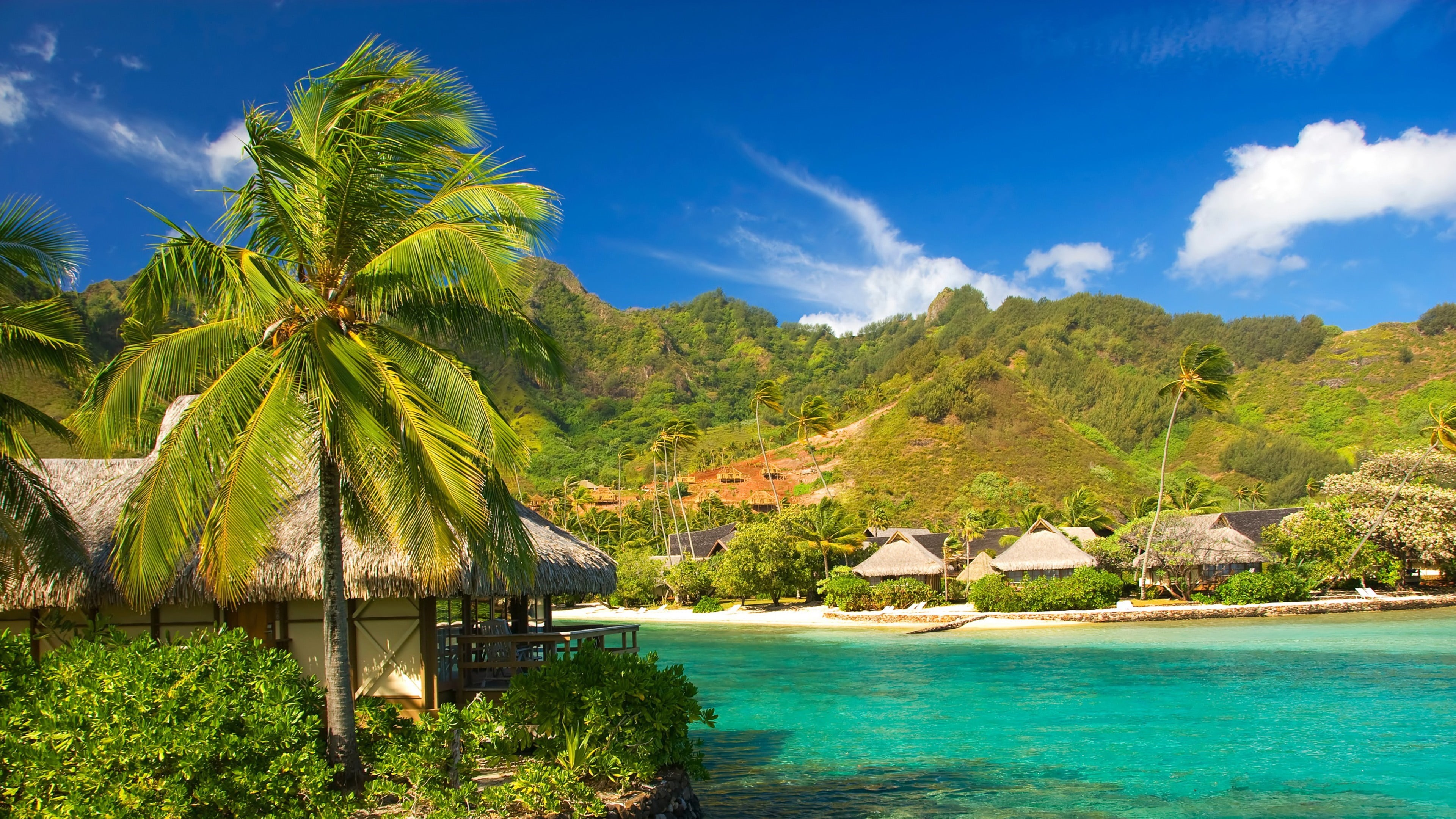 coast, arecales, turquoise colored, palm, beach, bungalow, tree, blue sky, sea, no people, tranquility, cloud - sky, summer, nature, tranquil scene, resort, HD Wallpaper