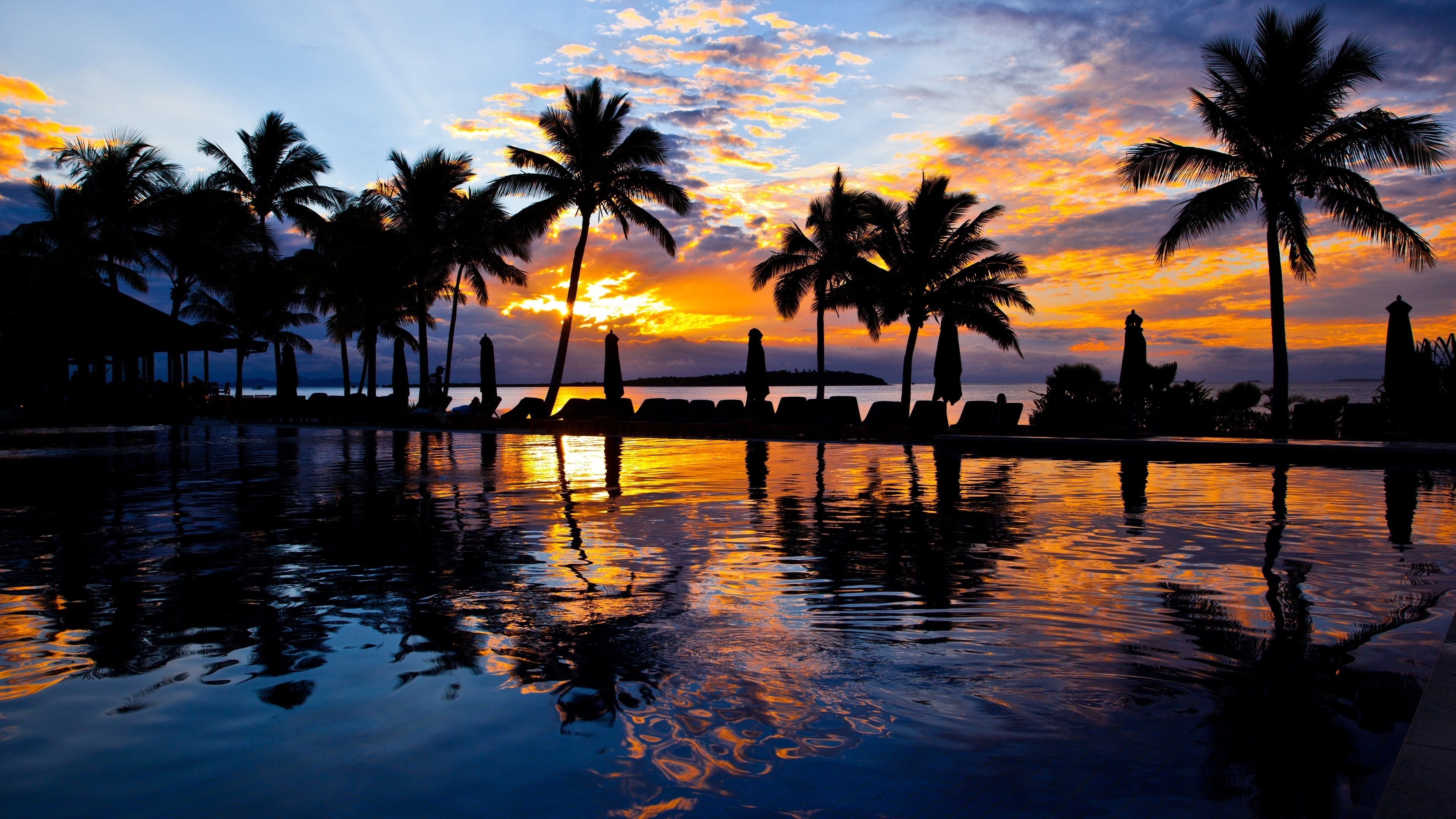 tree, reflection, beach, evening, silhouette, sea, 4K, palm tree, water, nature, arecales, tropics, horizon, sunset, sky, HD Wallpaper