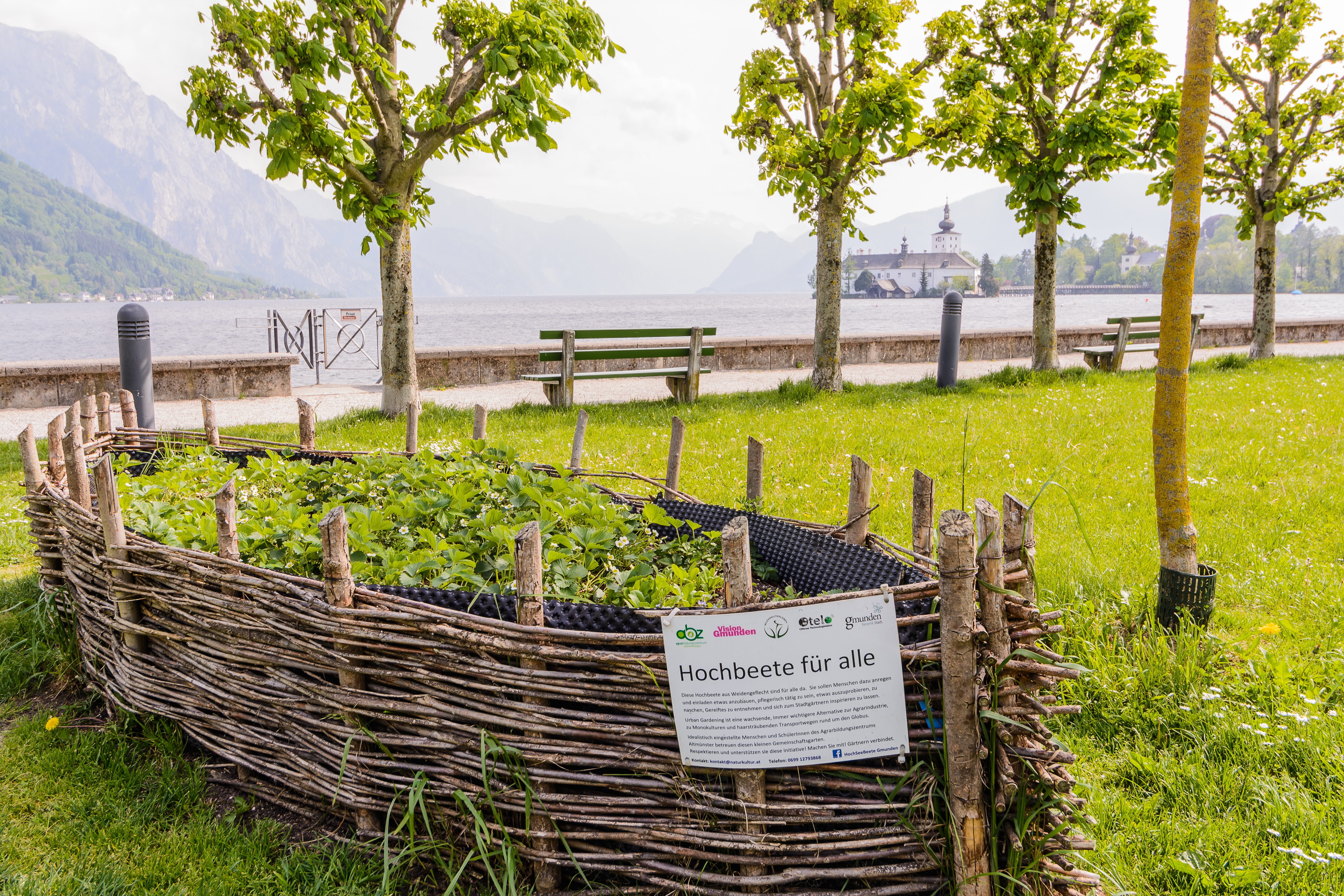 castle venue, beauty in nature, gmunden, text, day, field, outdoors, tree trunk, gardening, land, growth, vegetable garden, trunk, urban gardening, raised bed, HD Wallpaper