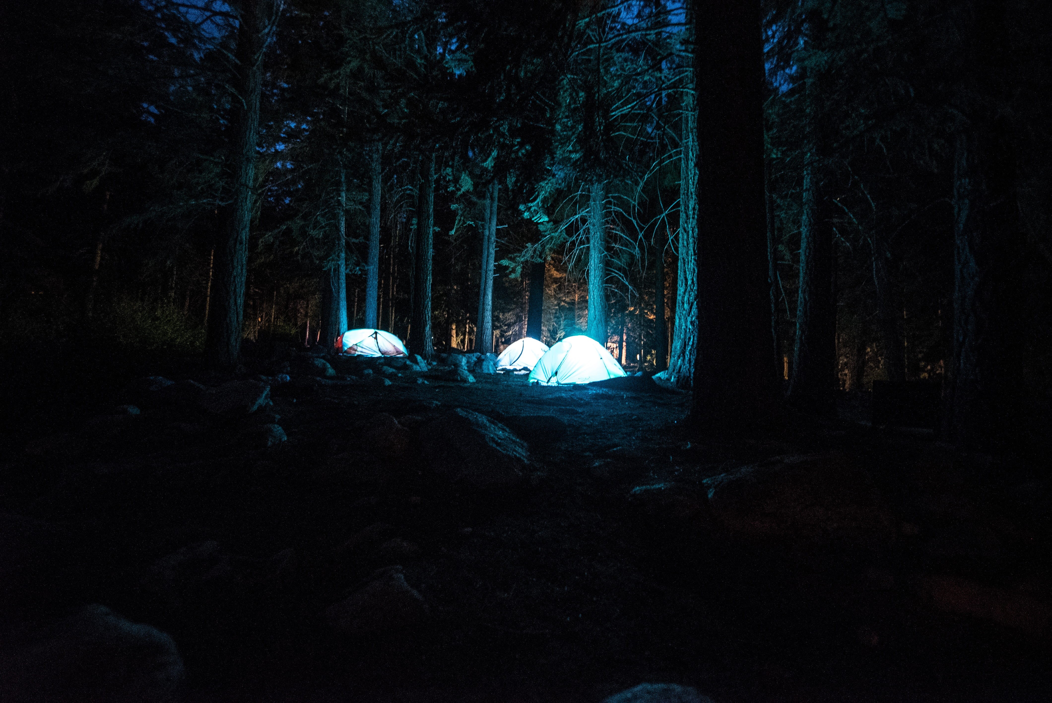 illuminated, dome, outdoors, leisure, dark, tranquil scene, lighted, no people, growth, evening, night, tents, forest, three, woods, time, tree trunk, trunk, HD Wallpaper
