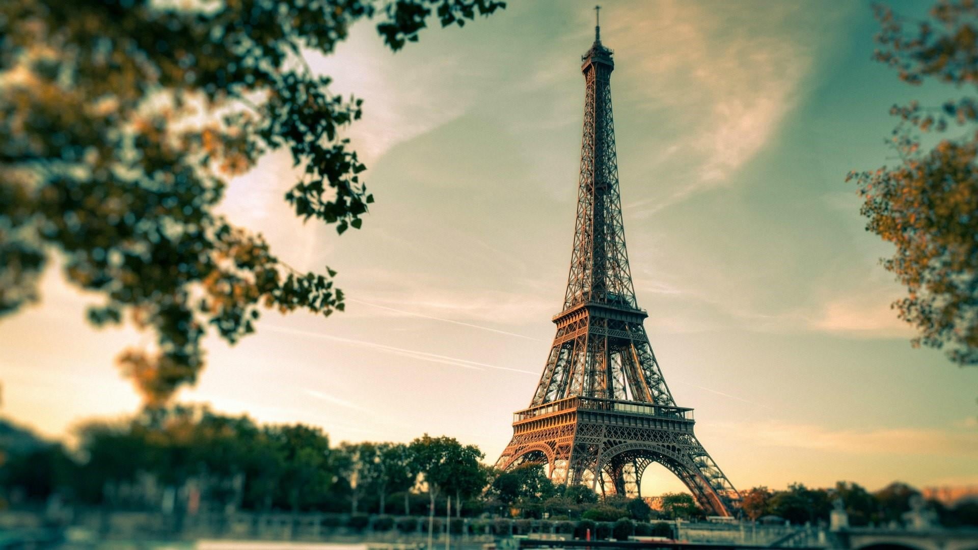 1080P, champ de mars park, tree, travel, tall - high, history, cloud - sky, france, leaves, tower, sunlight, city, iron - metal, daytime, park, cityscape, HD Wallpaper