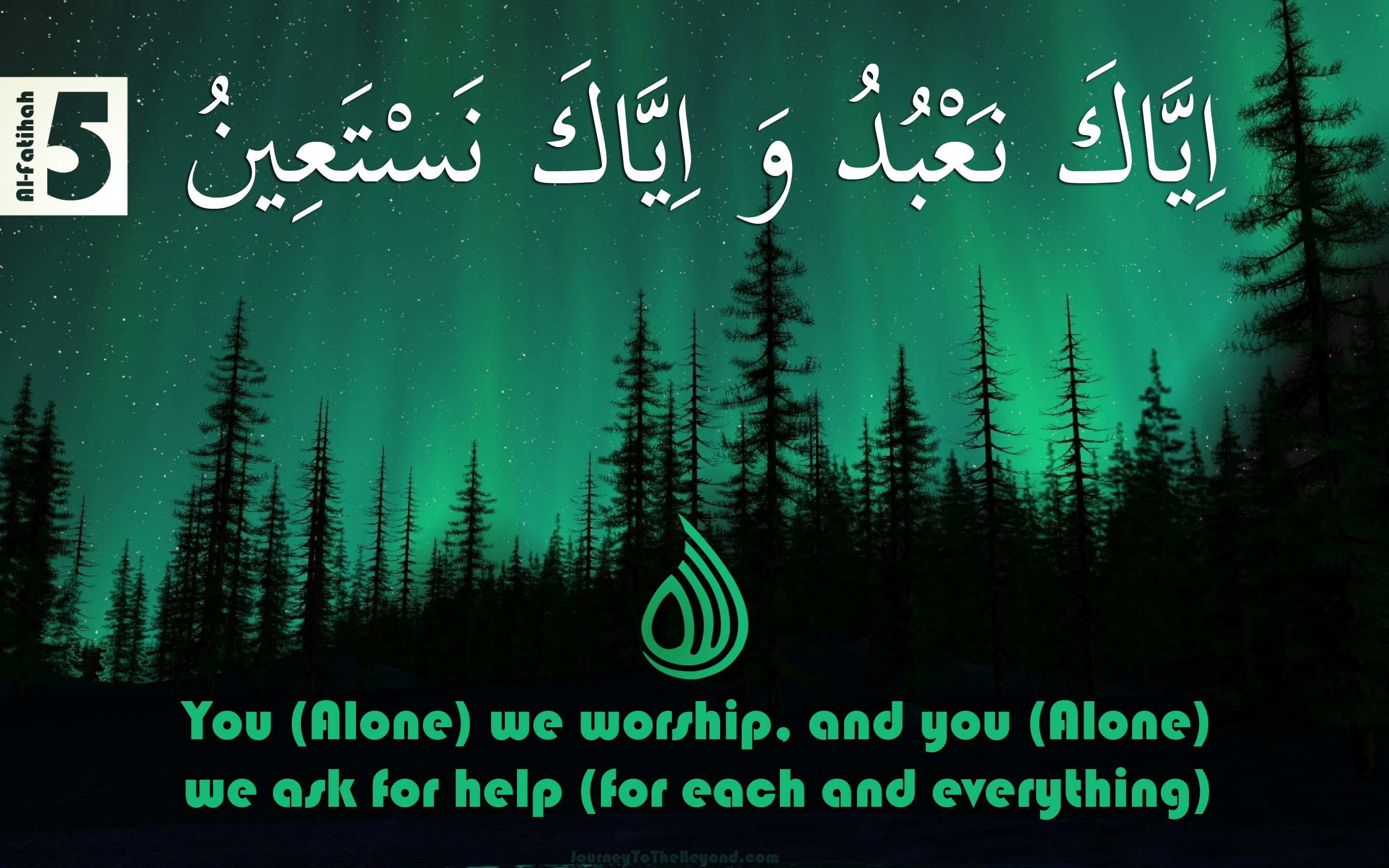 aurora, communication, worship, green, green color, nature, script, tree, western script, message, information, art and craft, non-western script, indoors, HD Wallpaper
