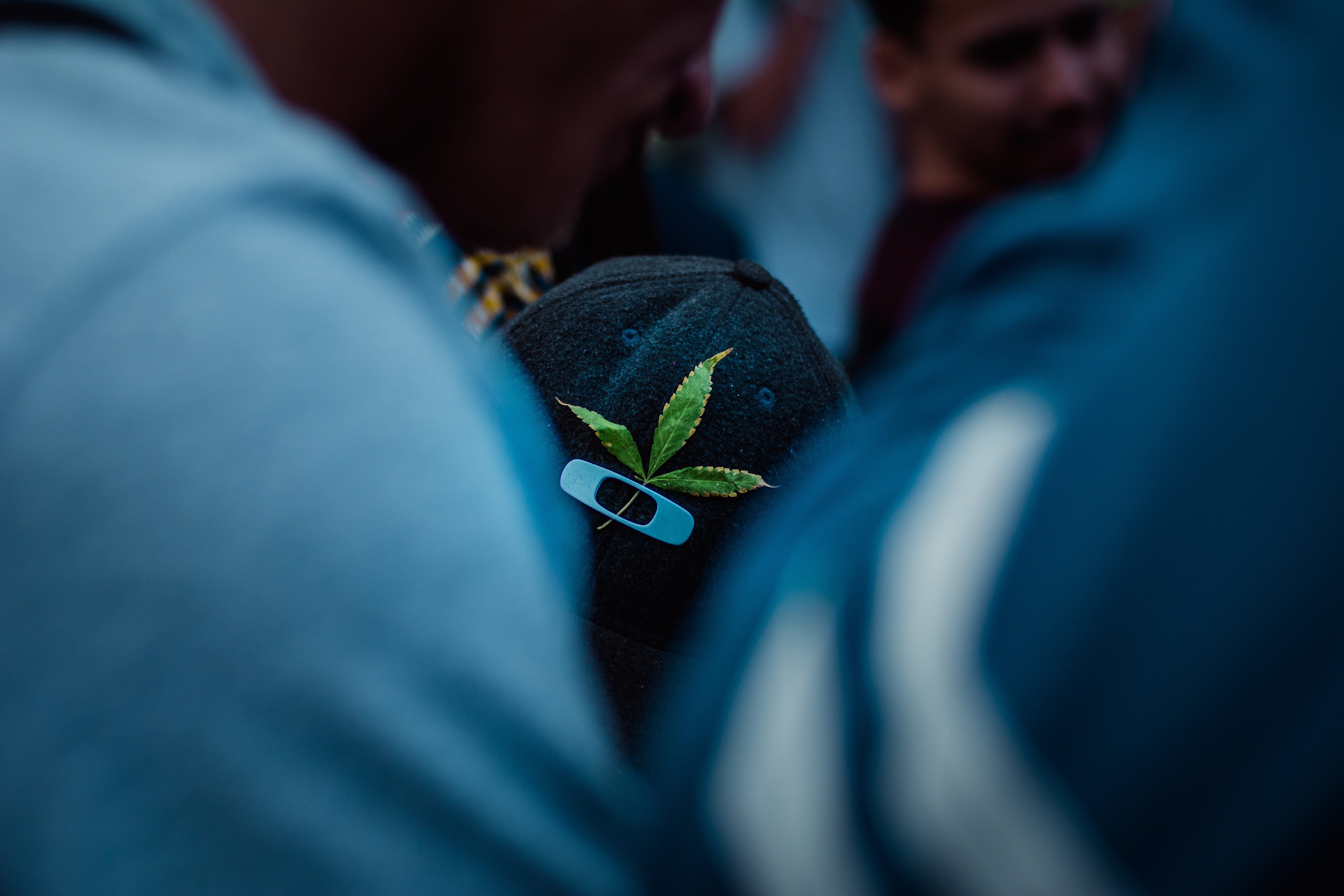 person, human limb, men, beanie, flower, anther, close-up, focus on background, selective focus, hat, jeans, human body part, outdoors, clothing, holding, HD Wallpaper