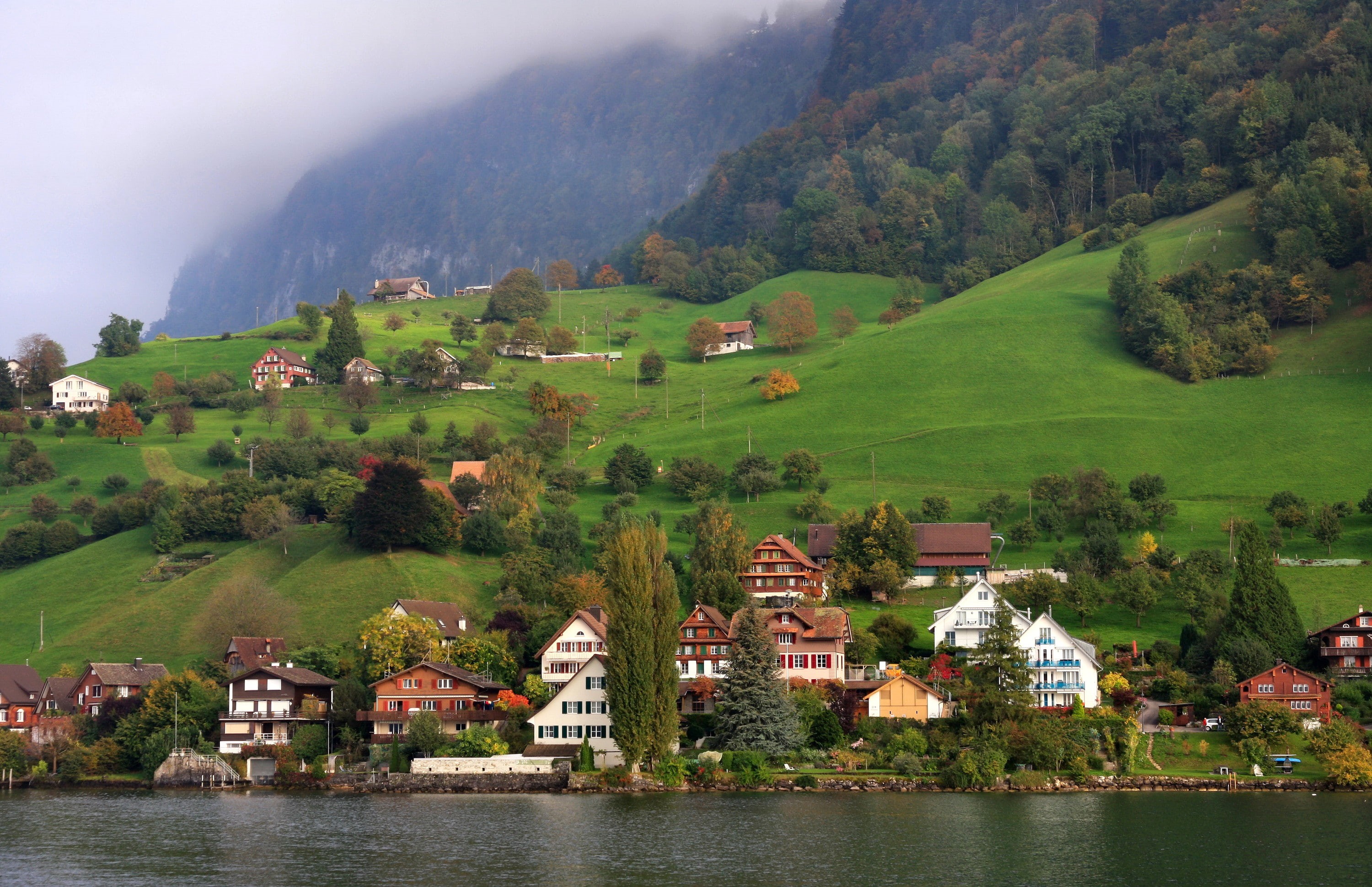 plant, land, building, water, scenics - nature, built structure, nature, 2K, urban, building exterior, Luzern, river, beauty in nature, outdoors, no people, HD Wallpaper