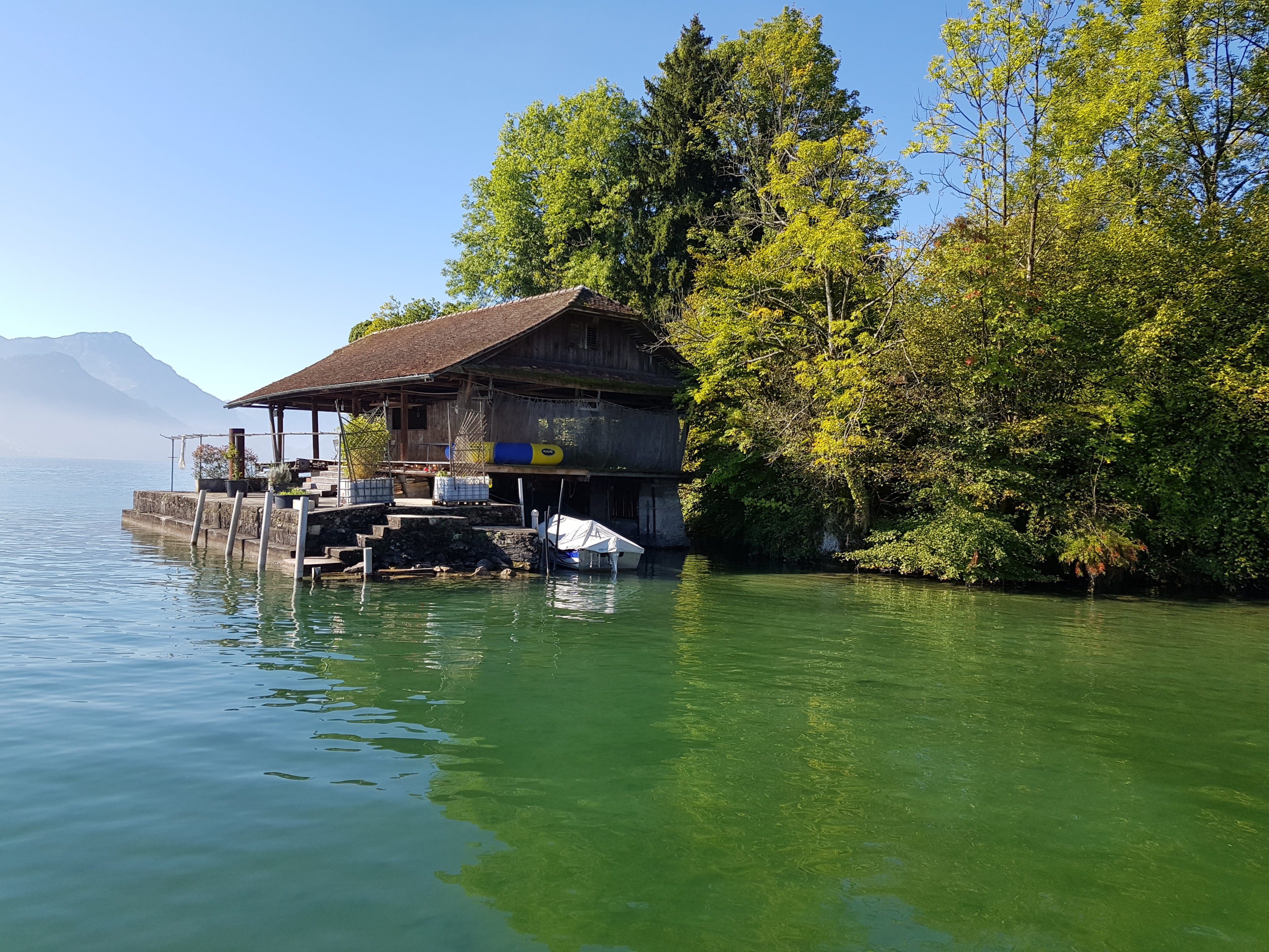 europe, architecture, residential district, tree, building exterior, nautical vessel, plant, tranquil scene, house, summer, day, city, wood, sky, switzerland, HD Wallpaper