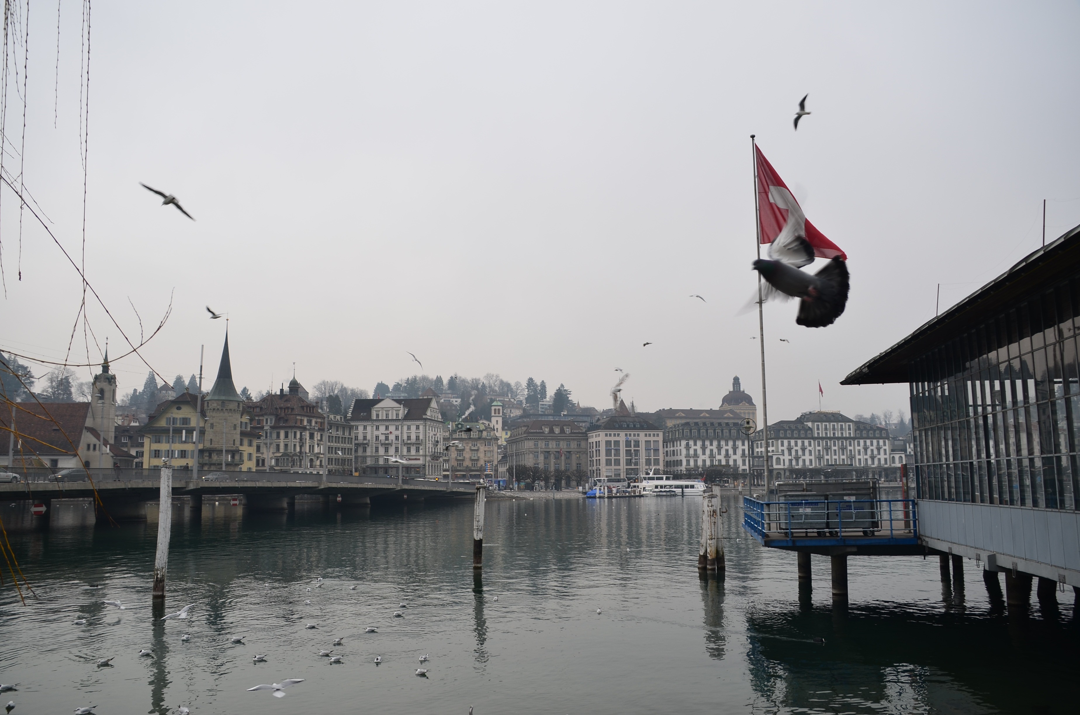 skyline, lake, 2K, nautical vessel, water, cityscape, flag, built structure, day, transportation, scenic, city, nature, dock, urban, reflection, luzern, HD Wallpaper