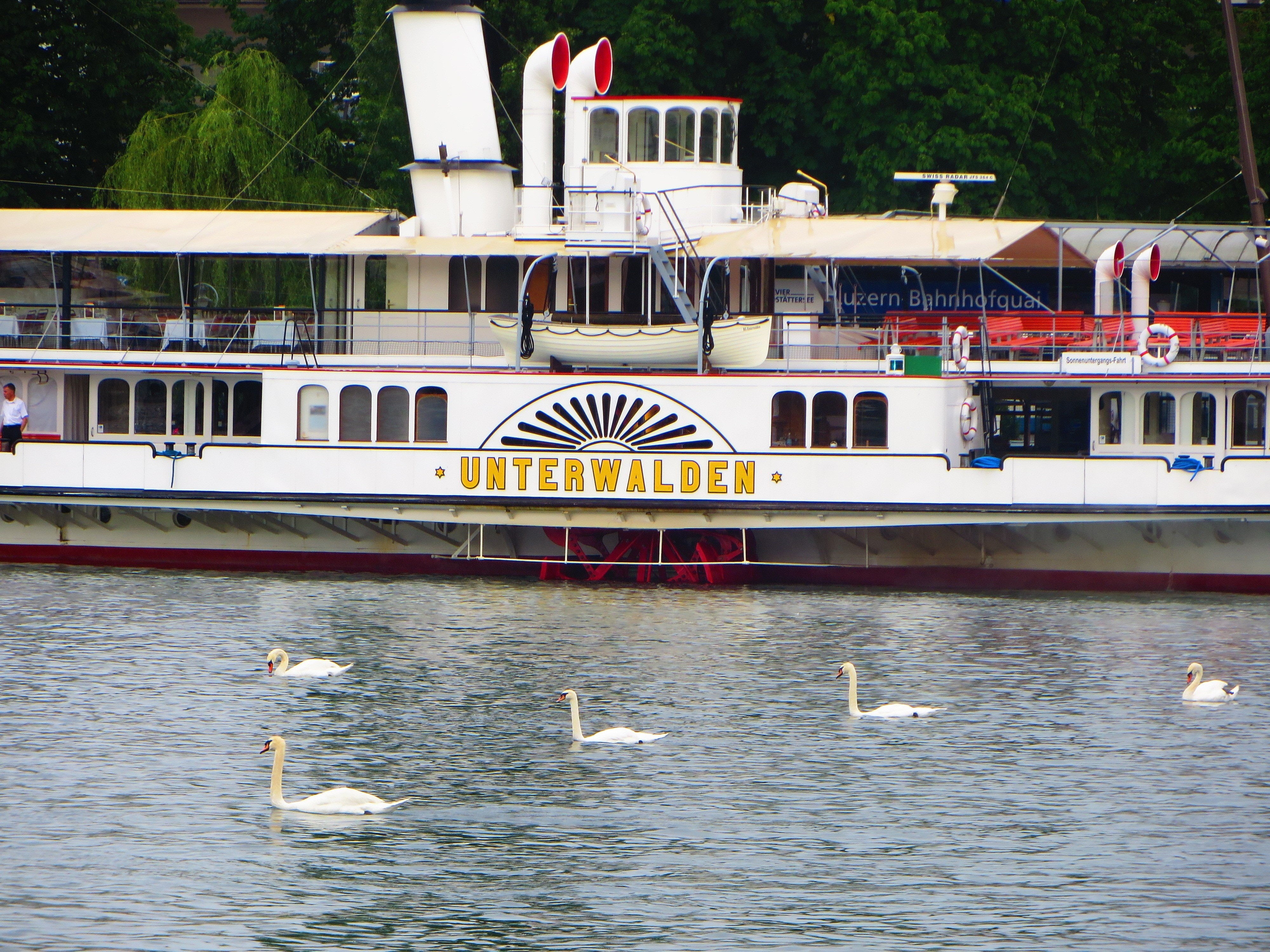 Switzerland, boat, water, Luzern, Swan, 4K, HD Wallpaper