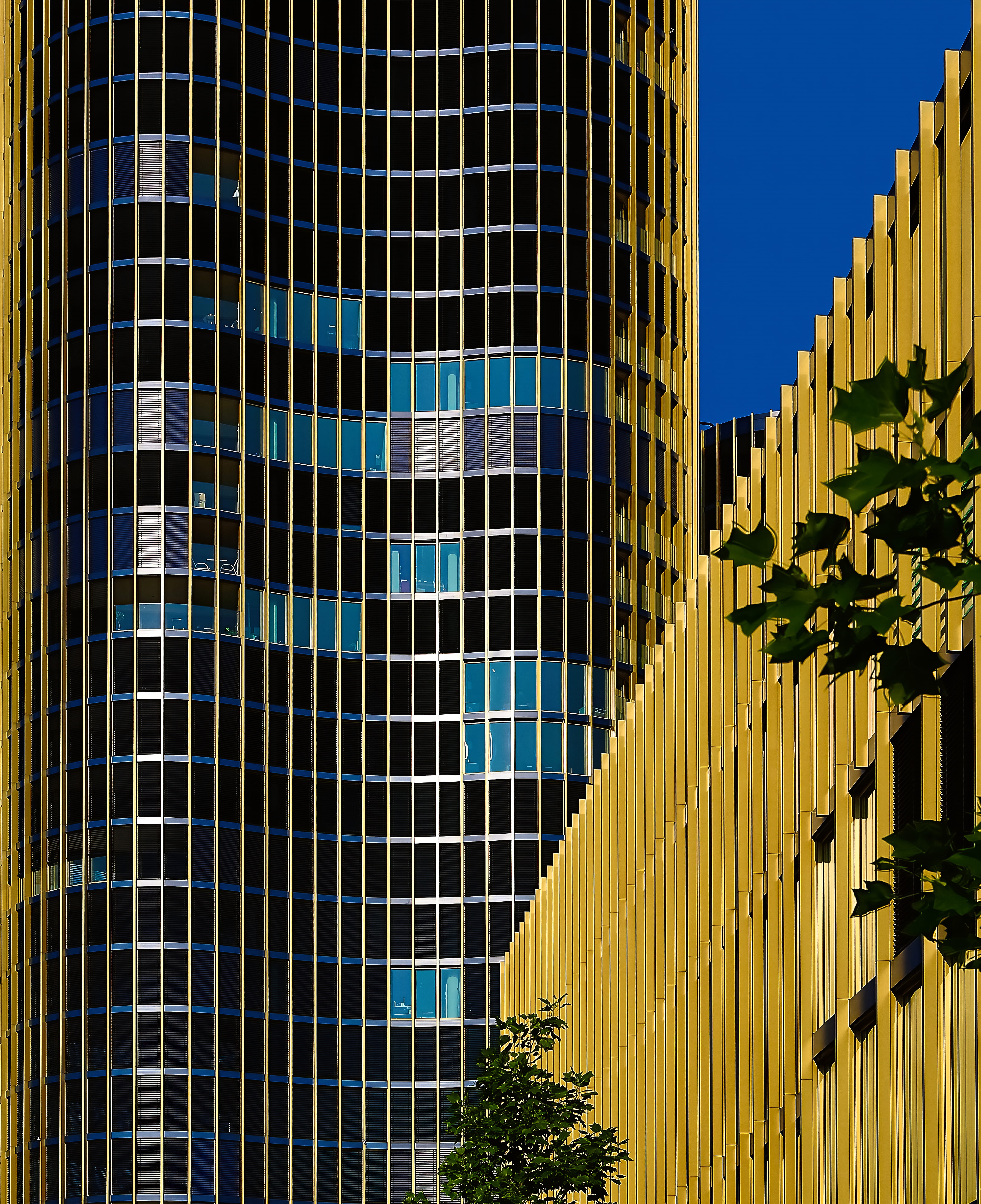 window, downtown, day, concrete, architecture, building, modern, urban, office, luzern, glass, bronze, office building, perspective, 5K, skyscraper, built structure, Phone HD Wallpaper