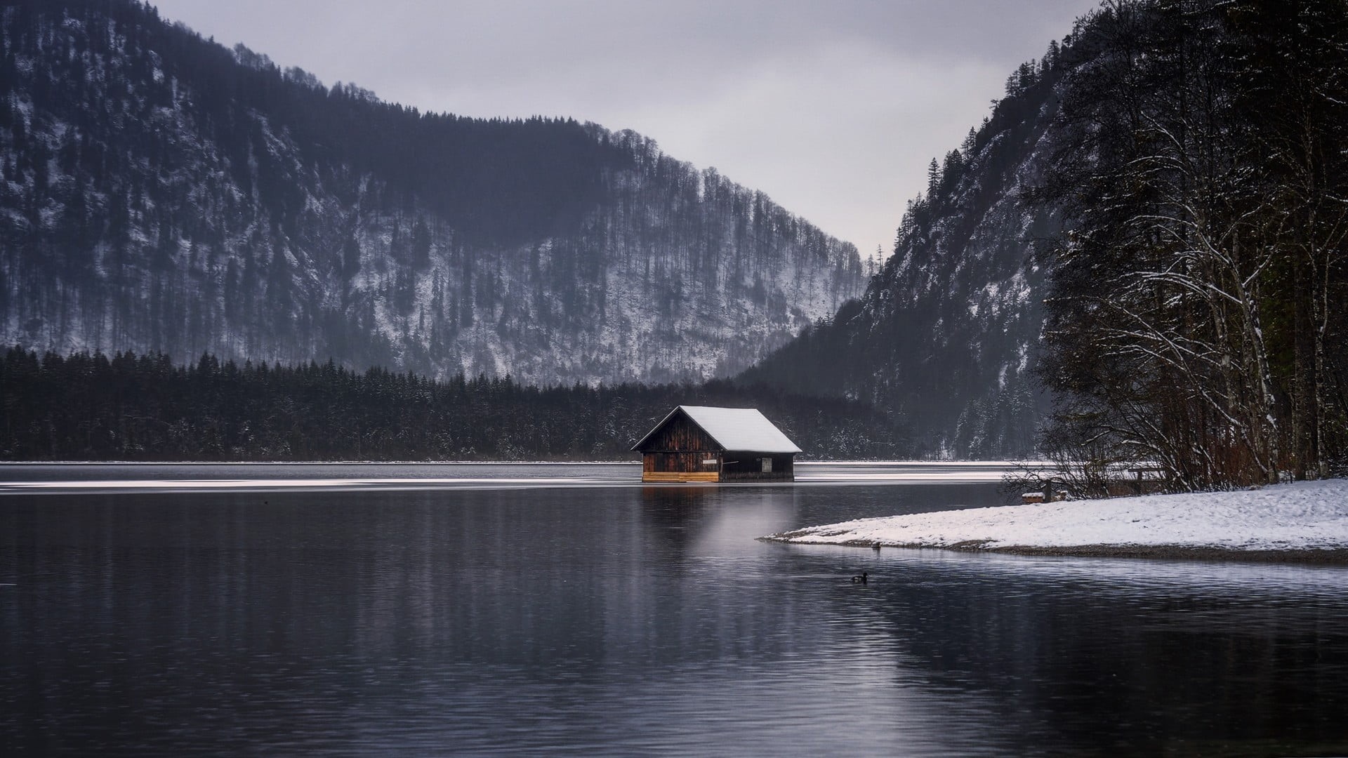 tree, boathouse, nature, winter, house, mountain, forest, cabin, landscape, architecture, beauty in nature, overcast, building exterior, cottage, lake, HD Wallpaper
