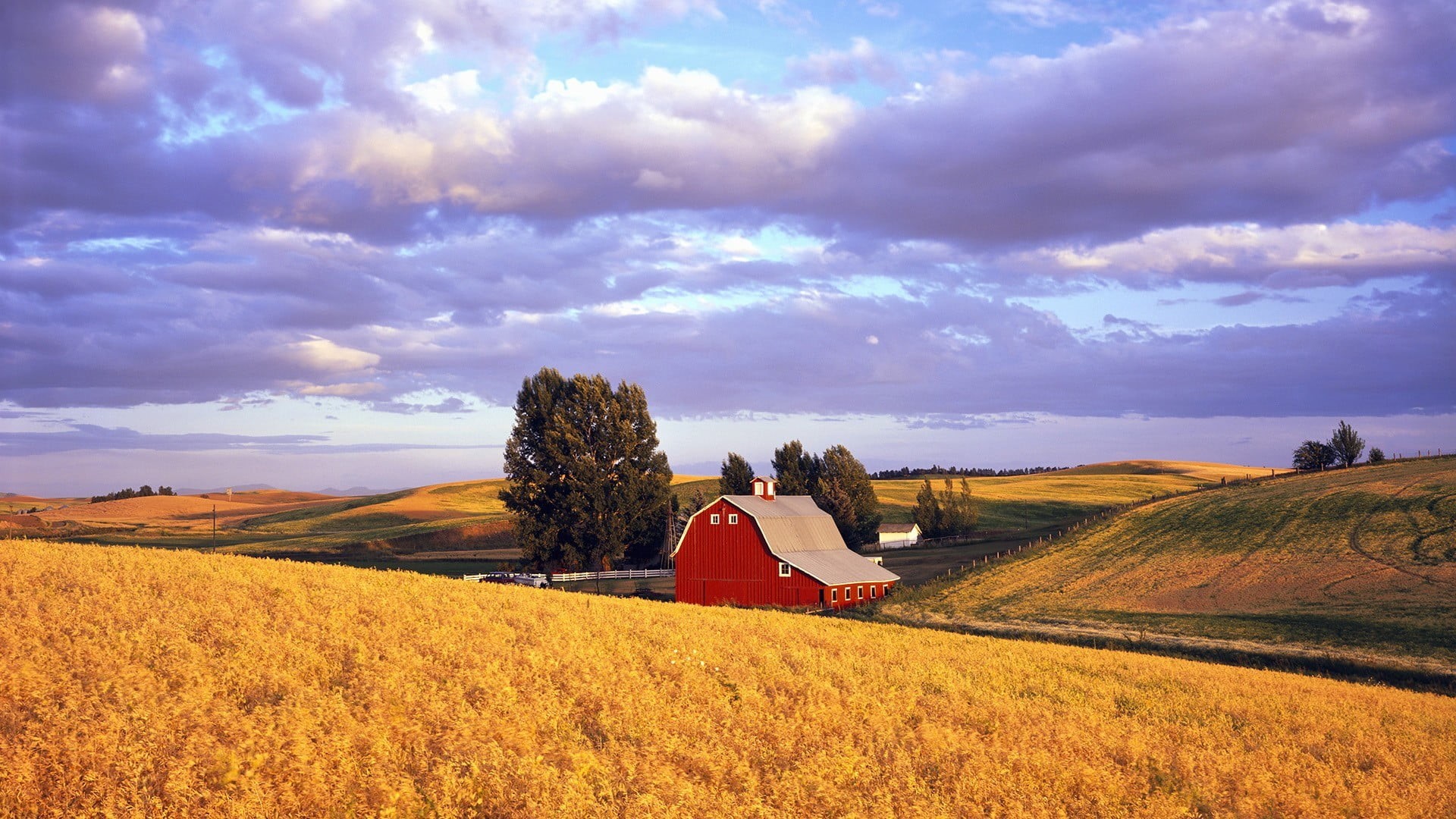 agriculture, tranquility, sky, non-urban scene, growth, no people, farm, outdoors, shed, scenics - nature, beauty in nature, cloud - sky, rural scene, environment, HD Wallpaper
