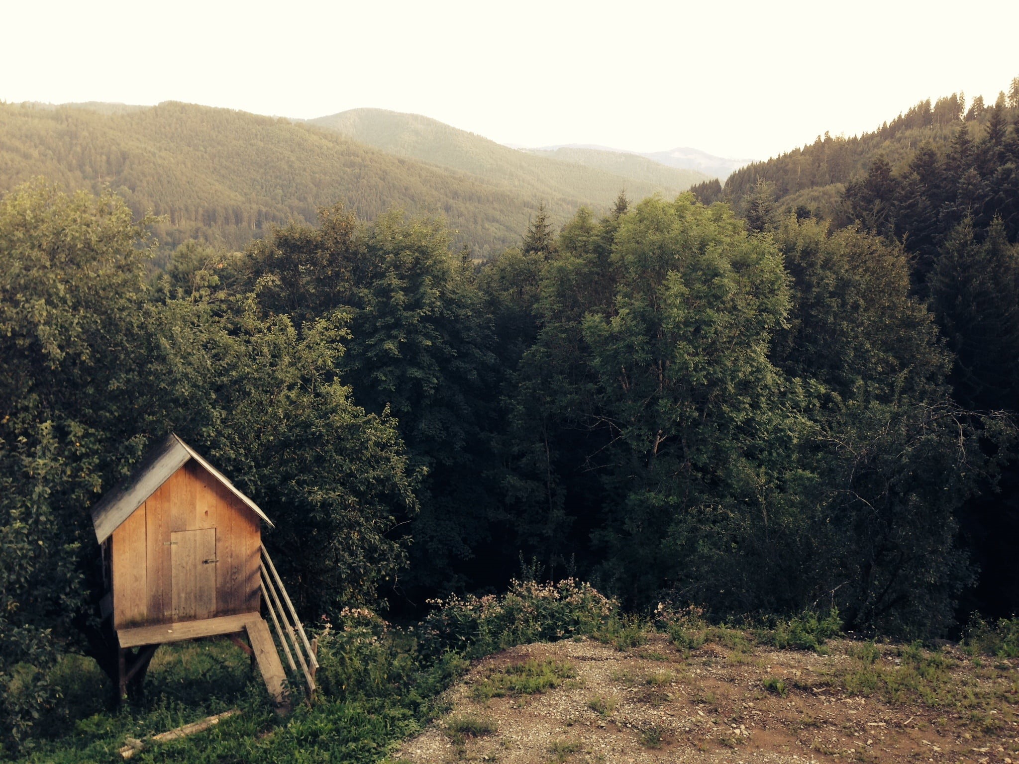 building exterior, rural, outdoors, landscape, brown, house, outdoor, tranquil scene, no people, building, grass, trees, dirt, growth, land, cottage, hut, HD Wallpaper