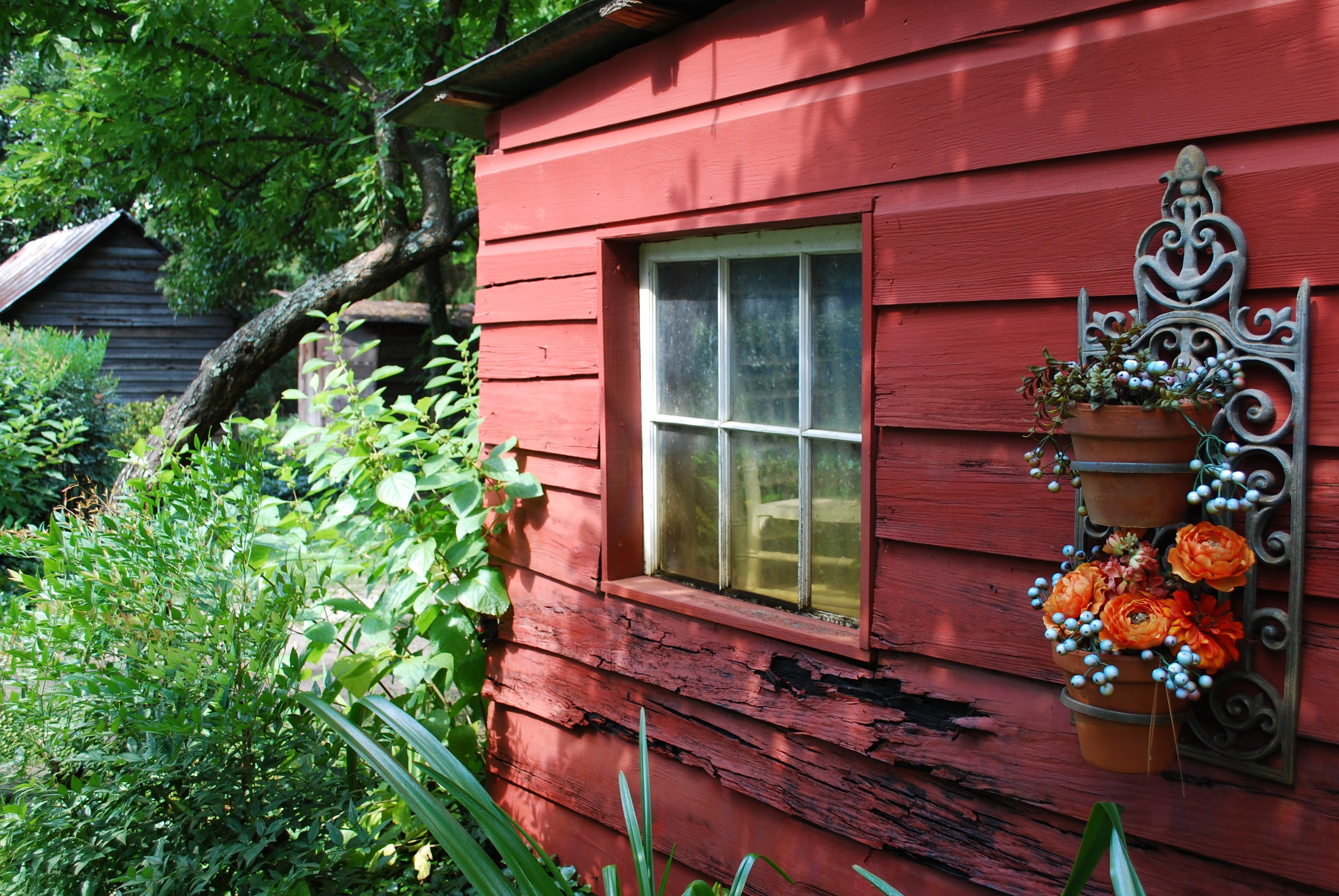window, building, wood - Material, old, green color, south, building Exterior, entrance, wooden, day, wood, house, tree, plant, Barn, flowering plant, carolina, HD Wallpaper