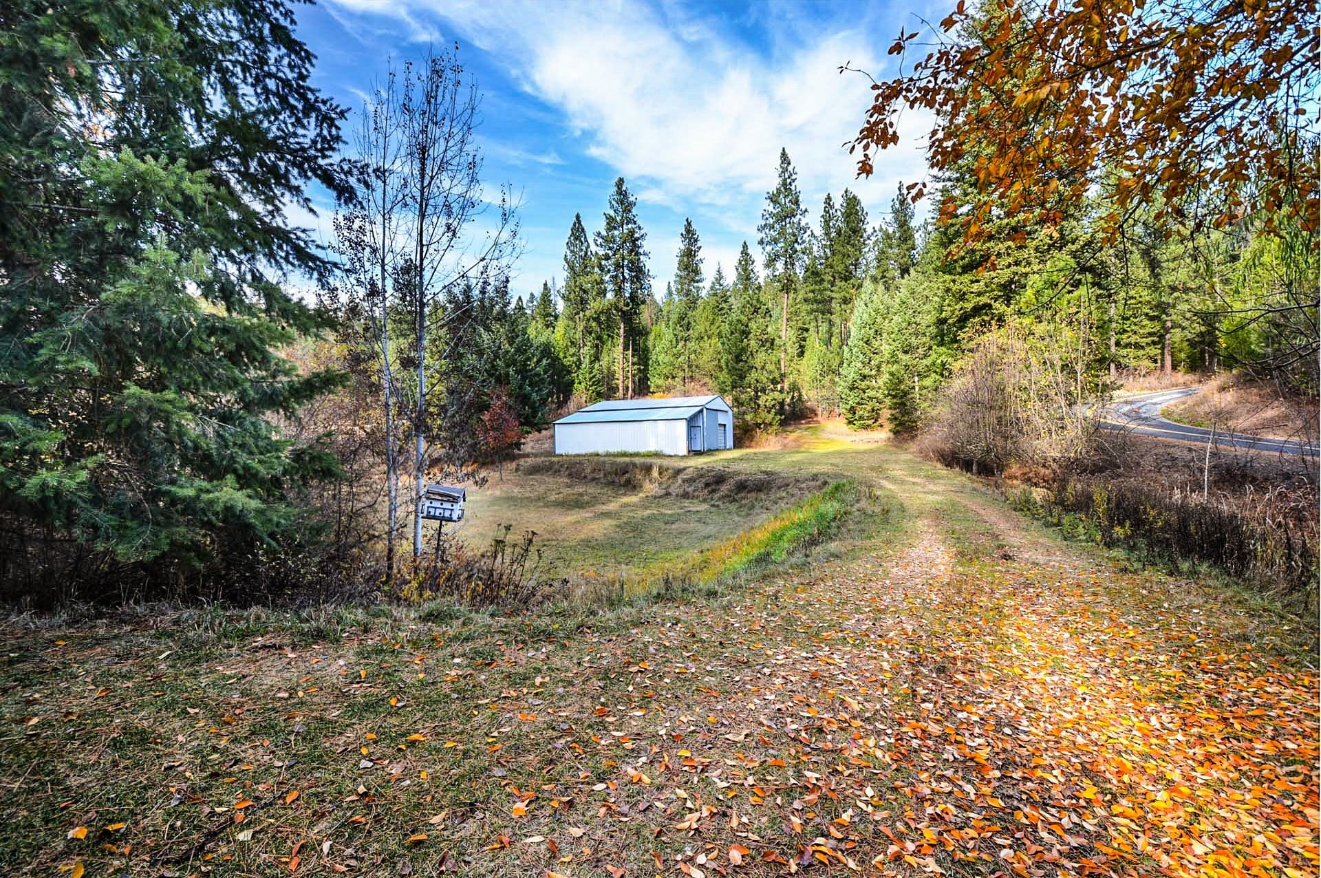tree, growth, autumn, nature, day, tranquil scene, tranquility, change, country, outbuilding, rural, birdhouse, outdoors, mode of transportation, coniferous tree, HD Wallpaper